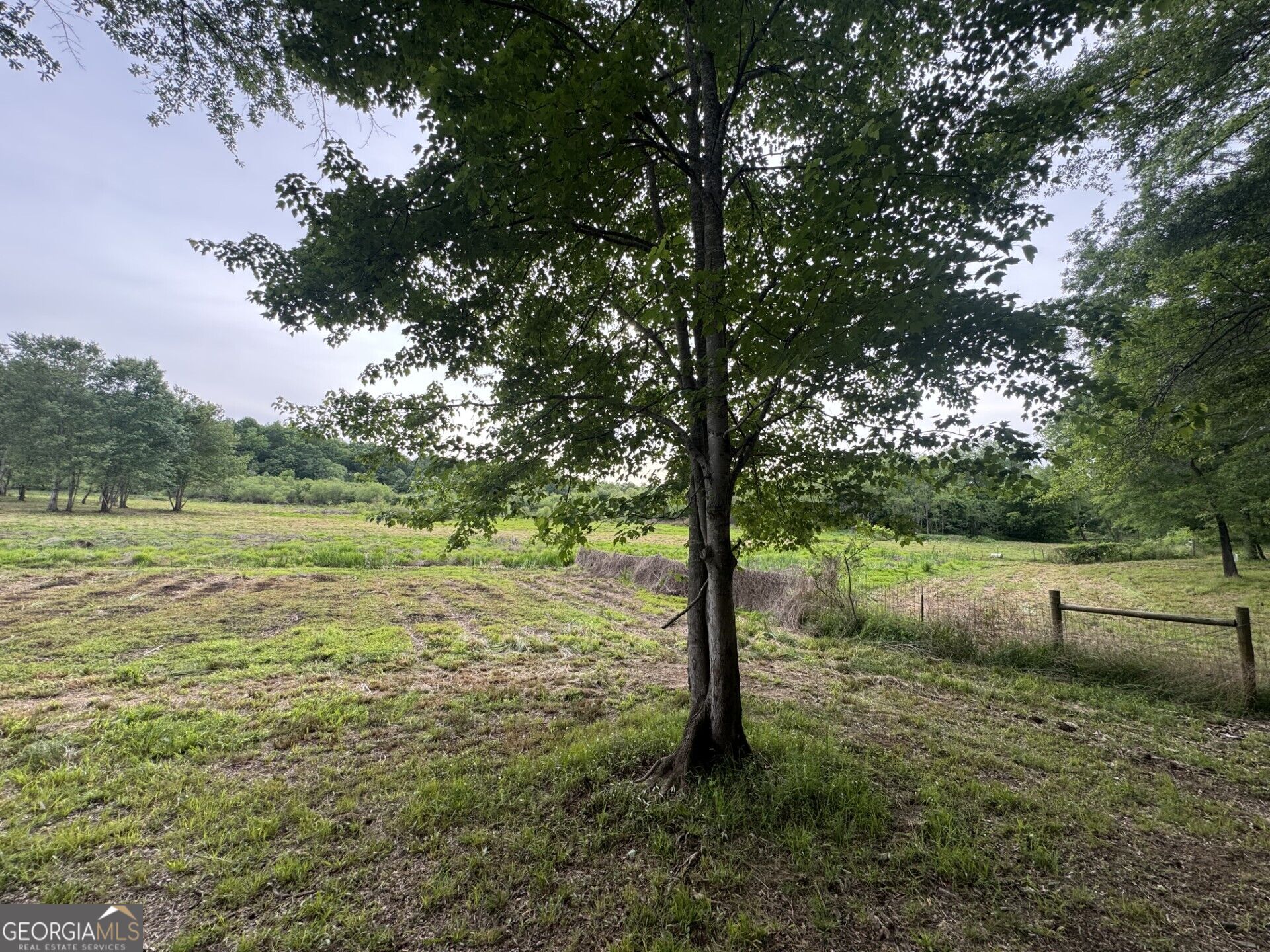731 Borders Road Property Photo 4