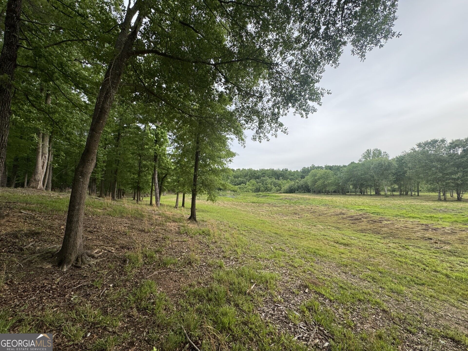 731 Borders Road Property Photo 6