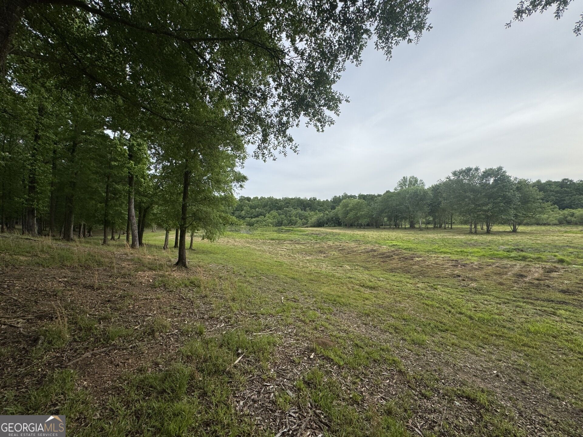 731 Borders Road Property Photo 61