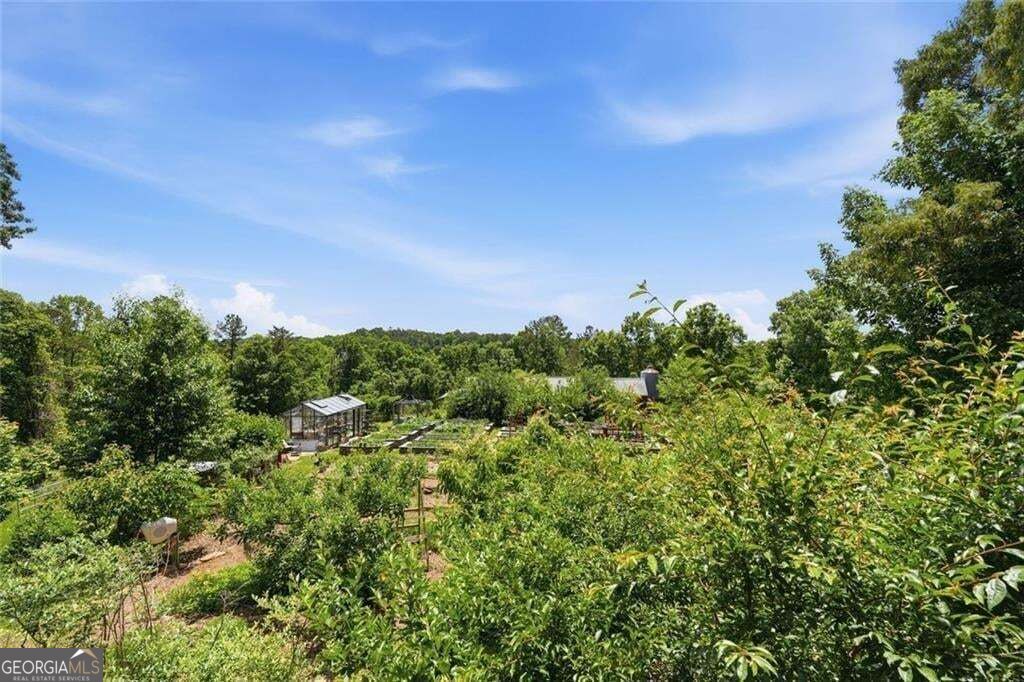 1823 Shoal Creek Road Property Photo 59