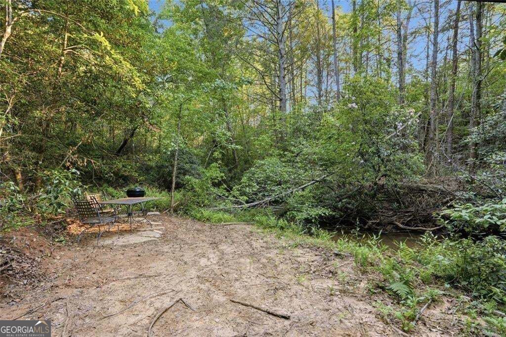 1823 Shoal Creek Road Property Photo 161