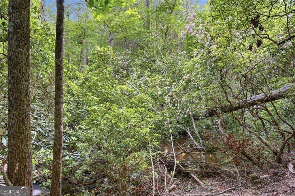 1823 Shoal Creek Road Property Photo 163