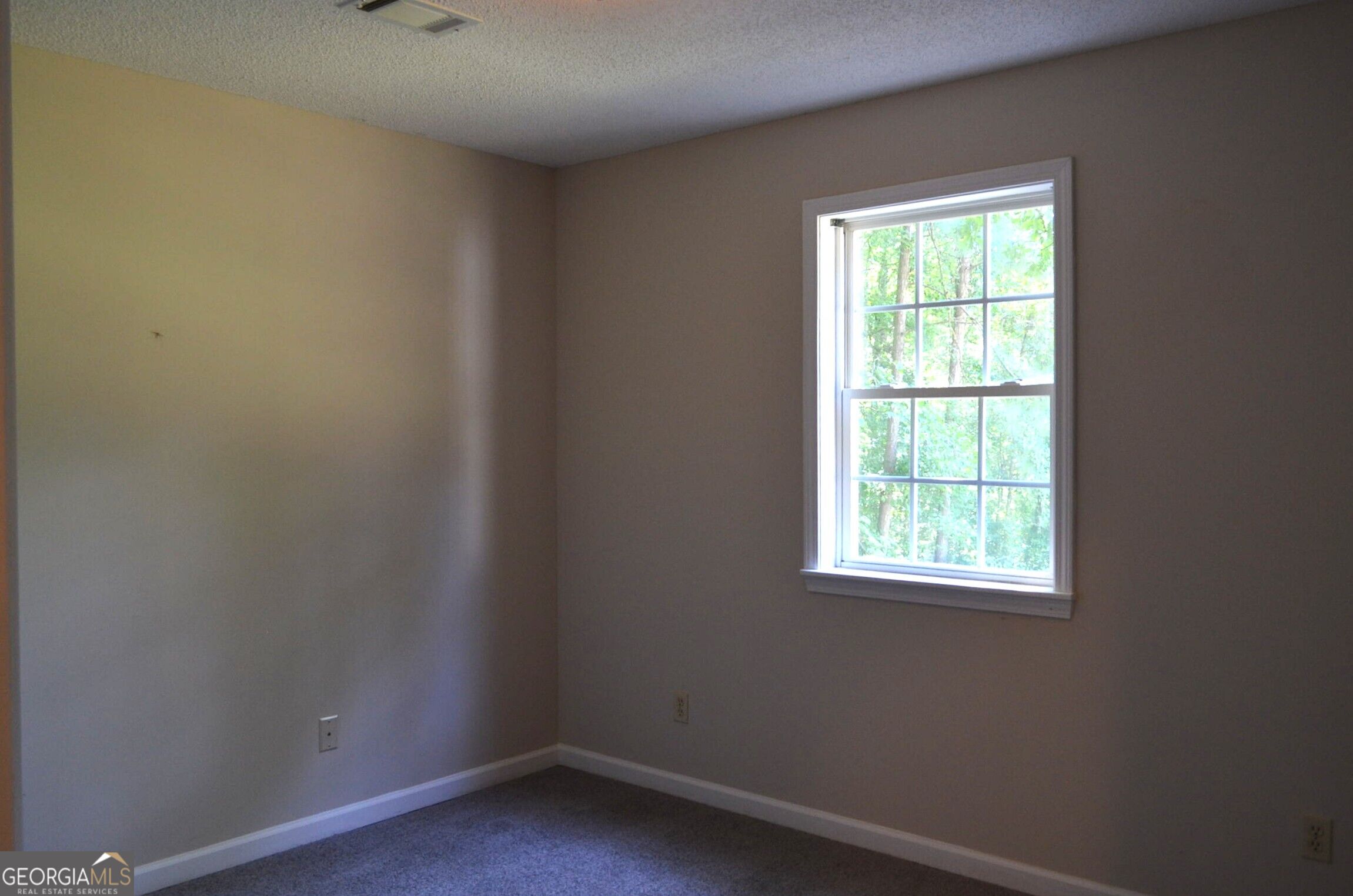 11374 Highway 74 Property Photo 28