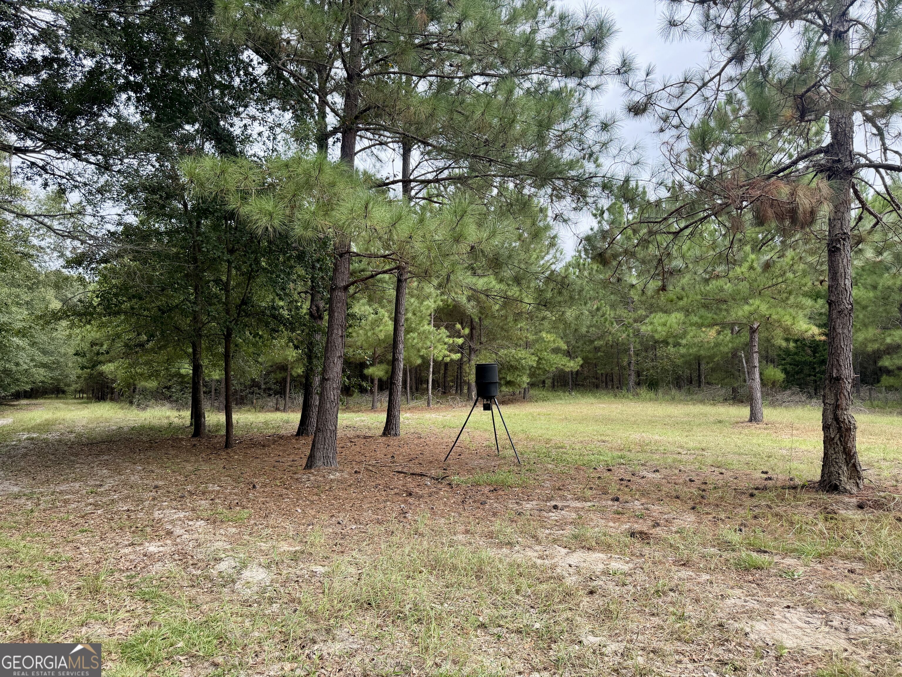 79 Stewart Road Property Photo 3