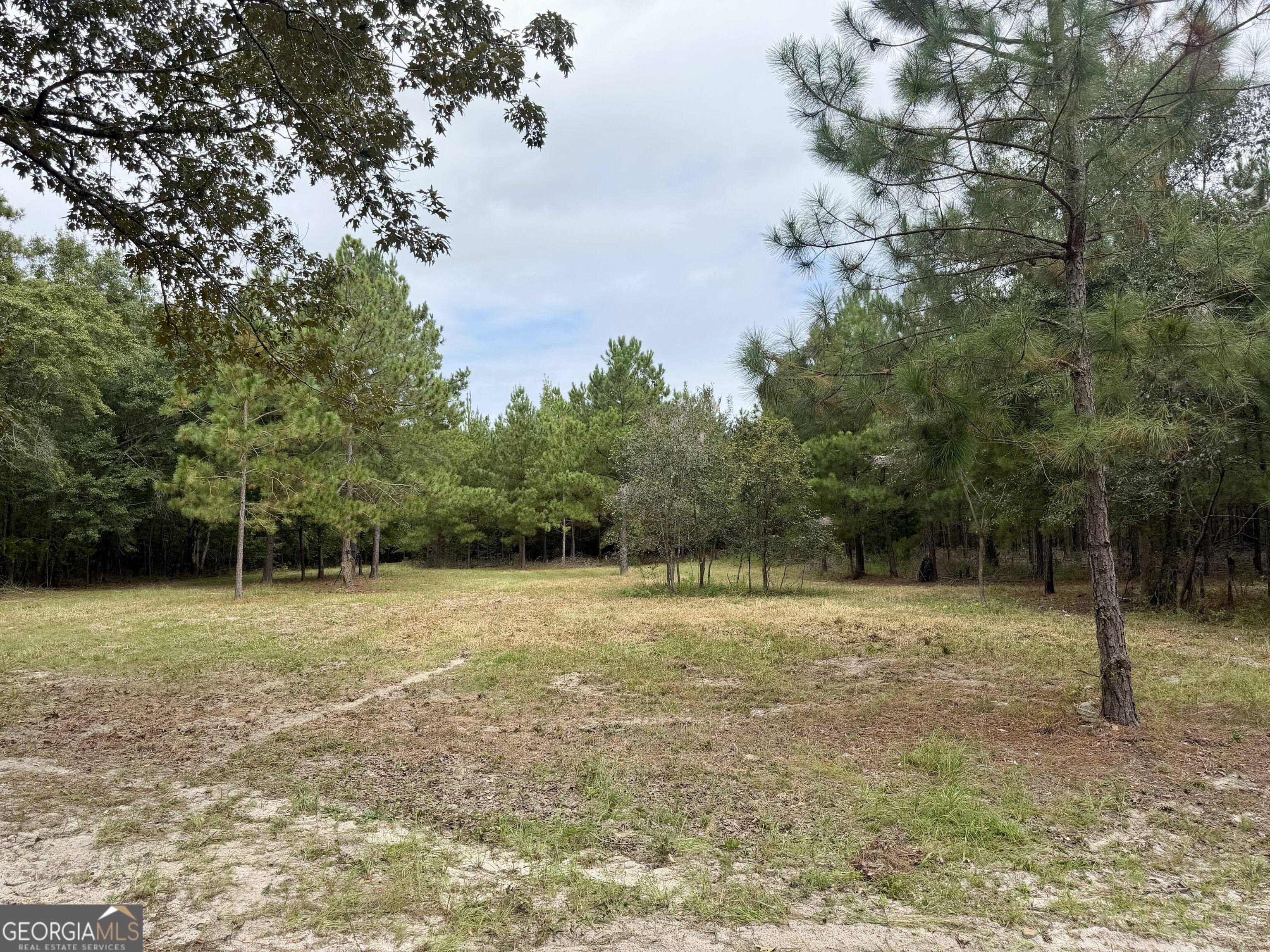 79 Stewart Road Property Photo 27