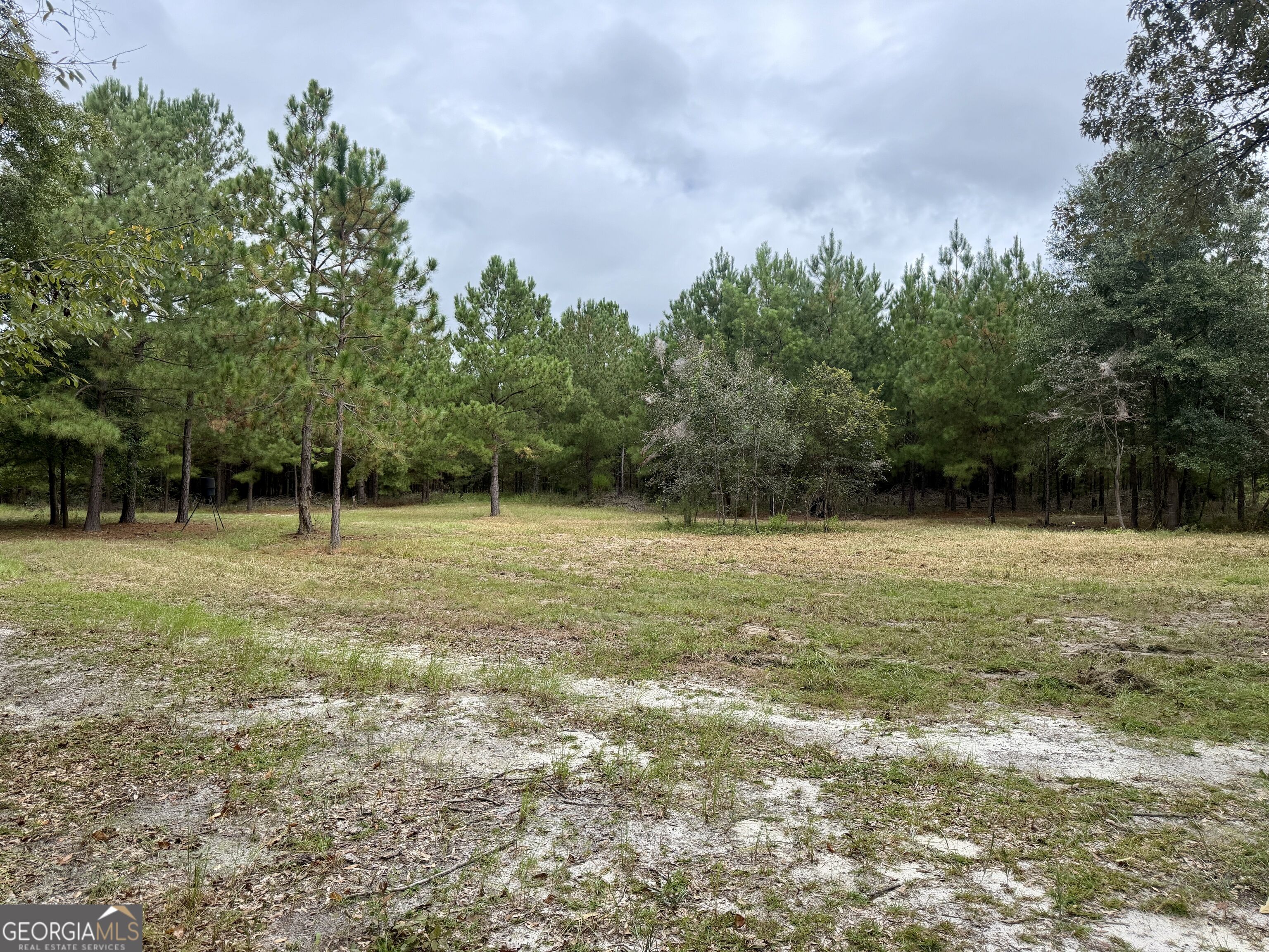 79 Stewart Road Property Photo 38