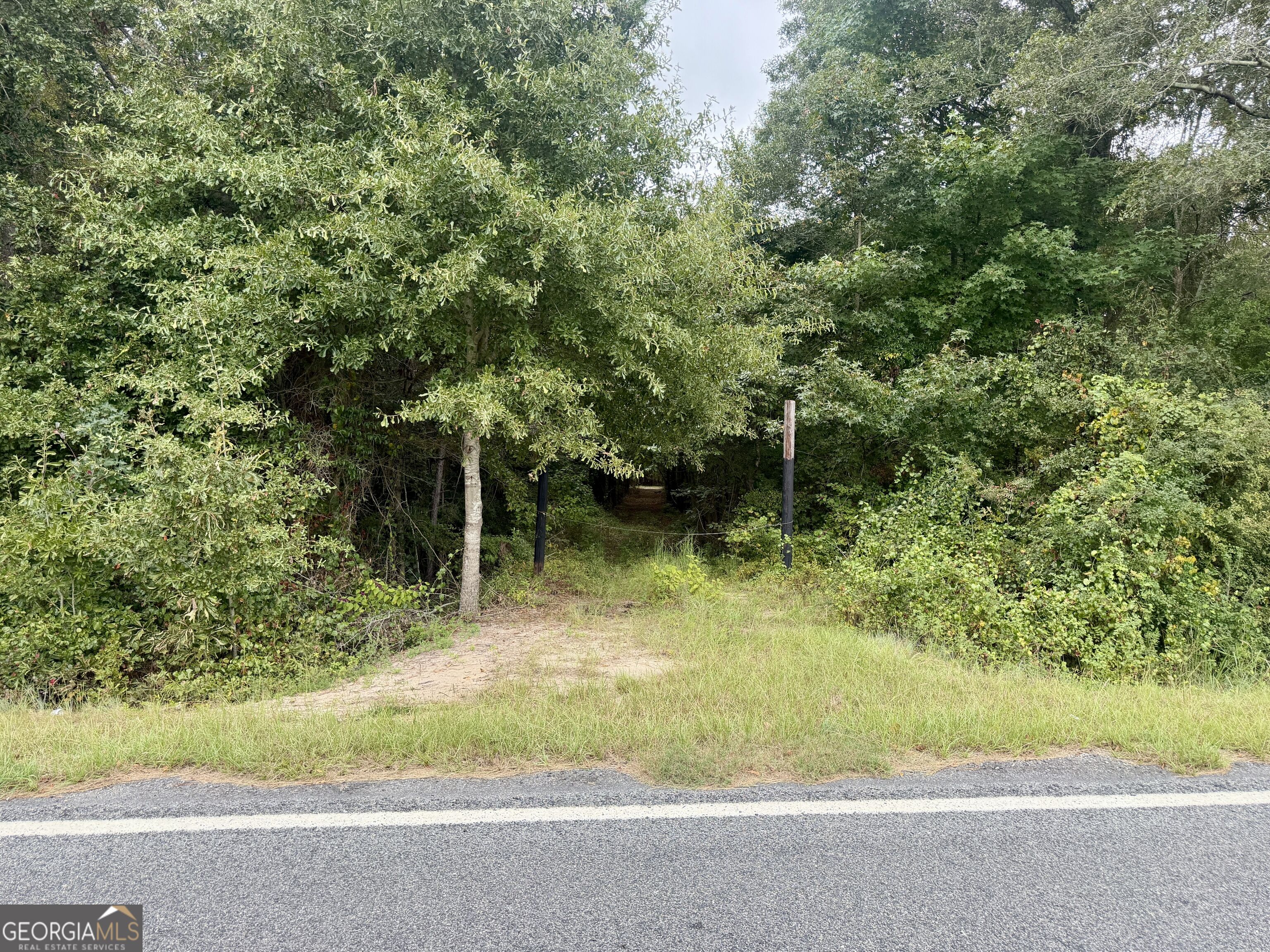 79 Stewart Road Property Photo 41