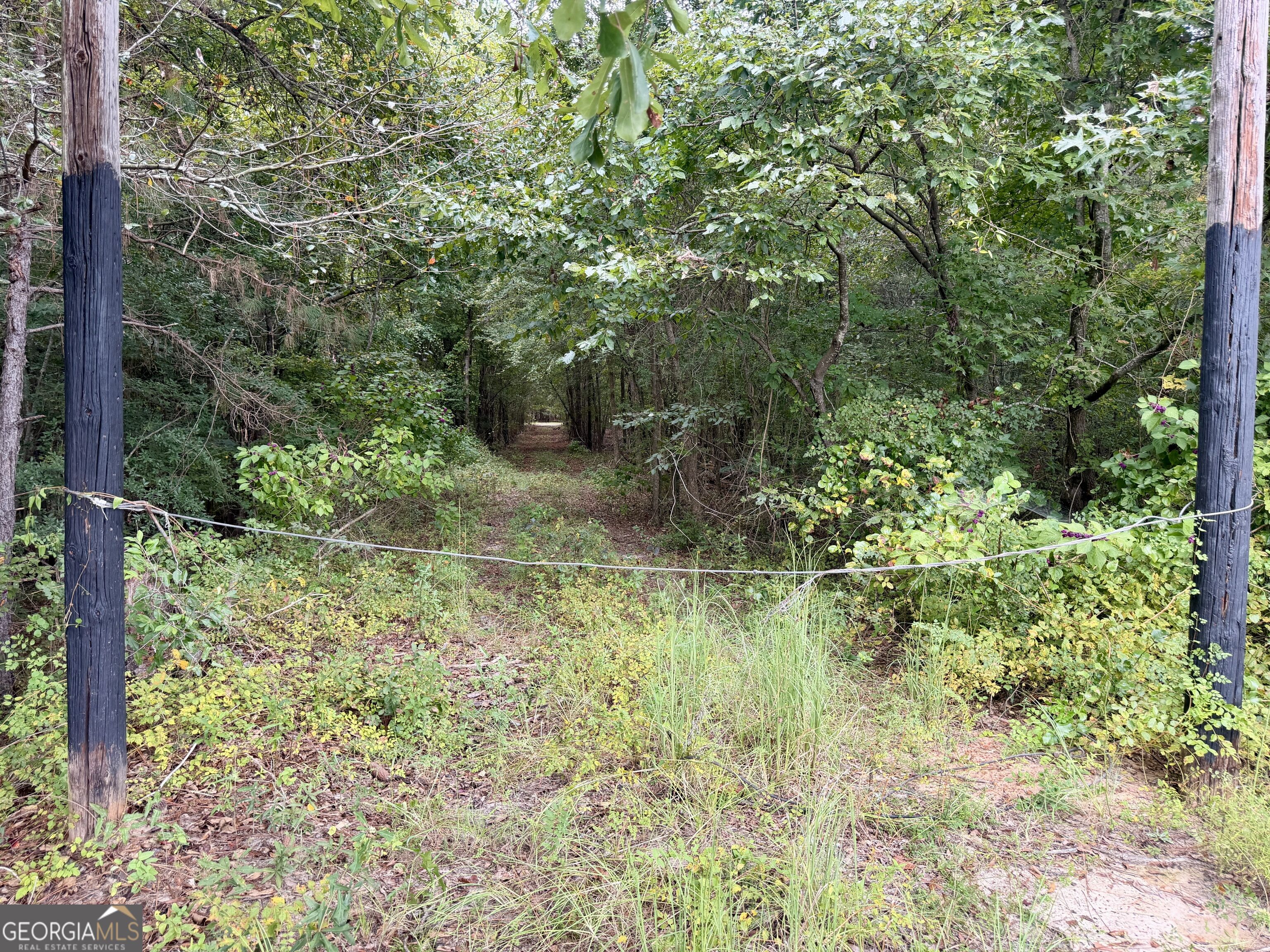79 Stewart Road Property Photo 42