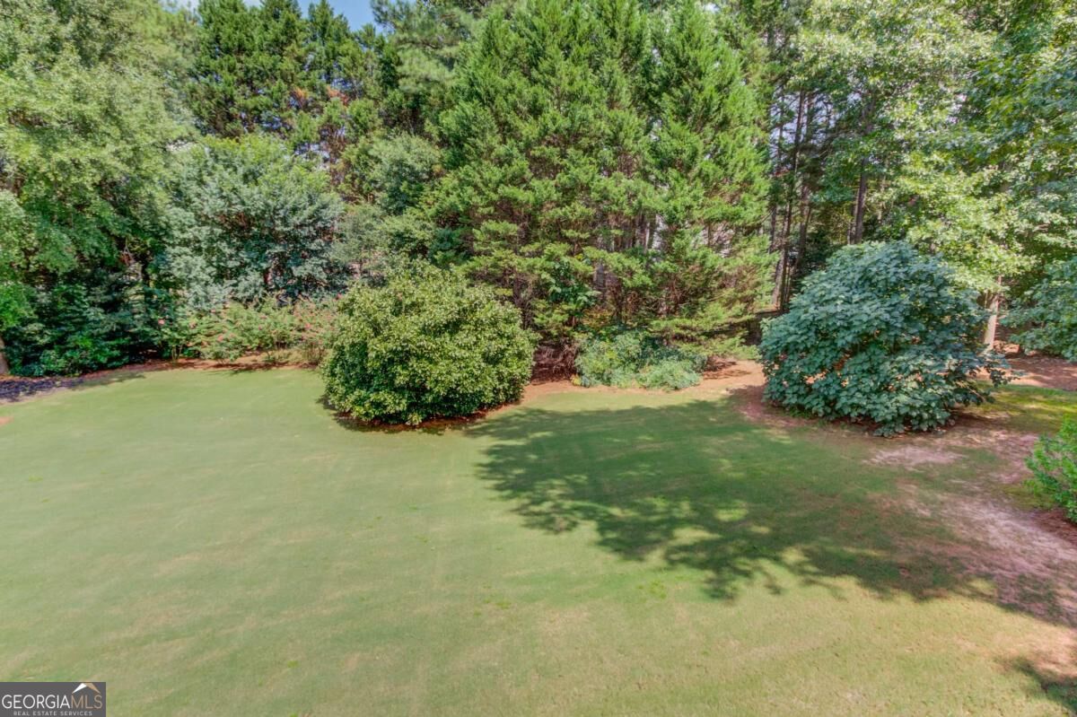 1131 Overlook Lane Property Photo 46