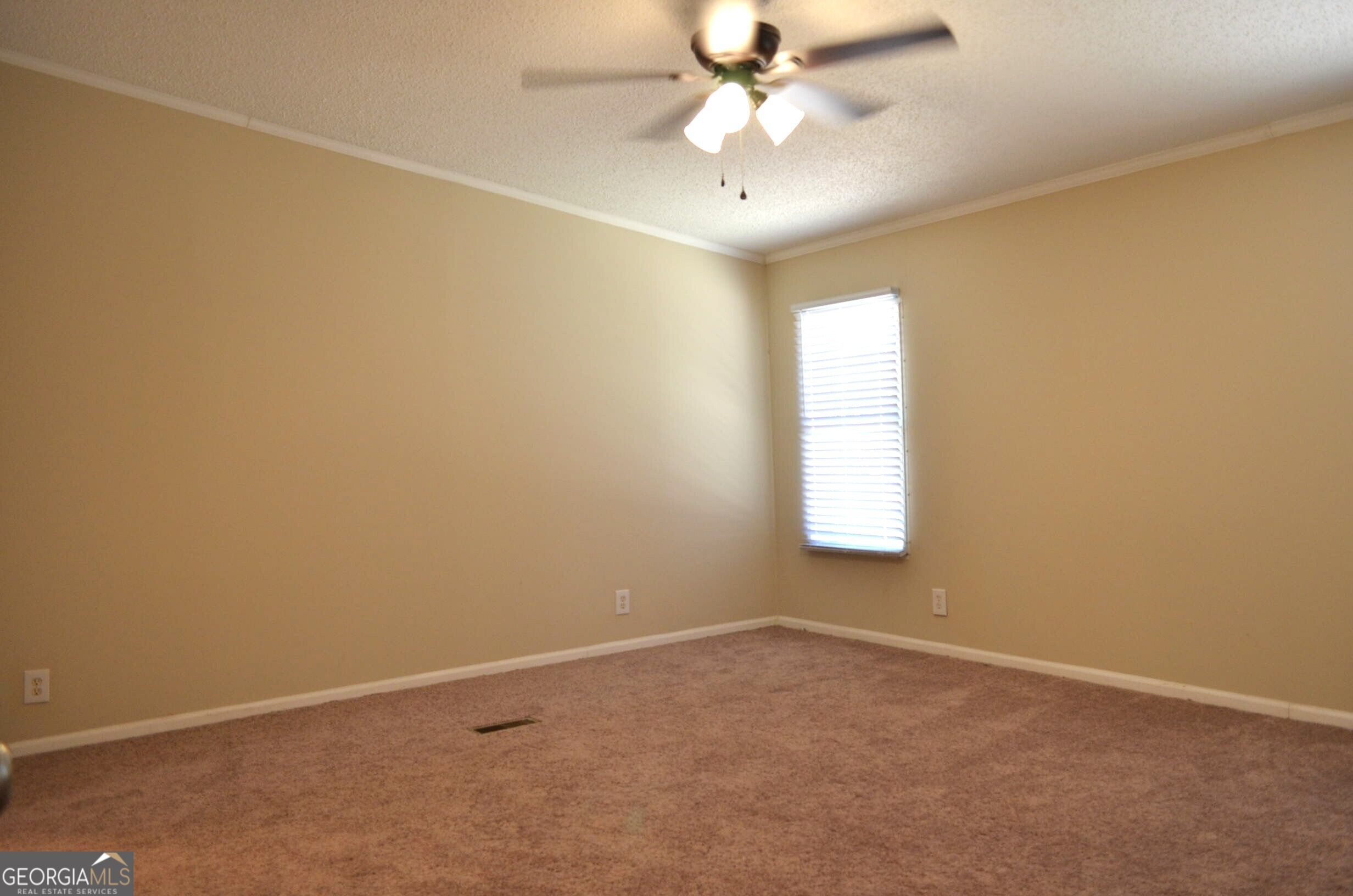 572 Atkinson Road Property Photo 10