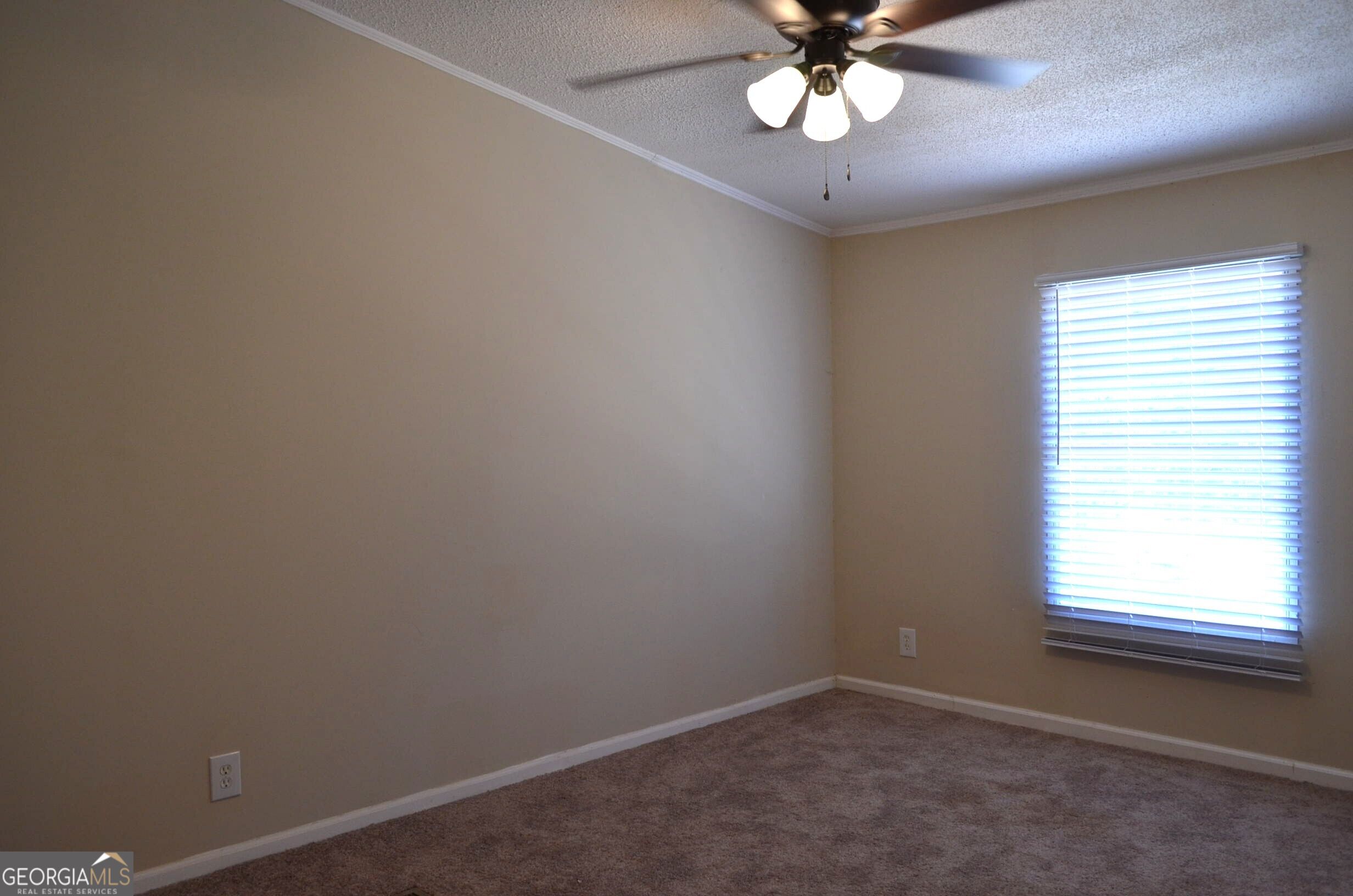 572 Atkinson Road Property Photo 13