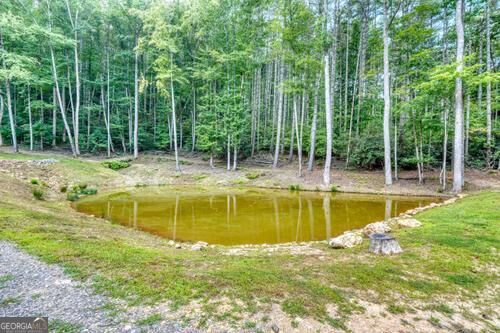 1026 Laurel Branch Road Property Photo 23