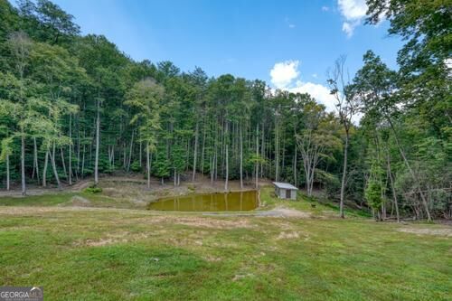 1026 Laurel Branch Road Property Photo 25