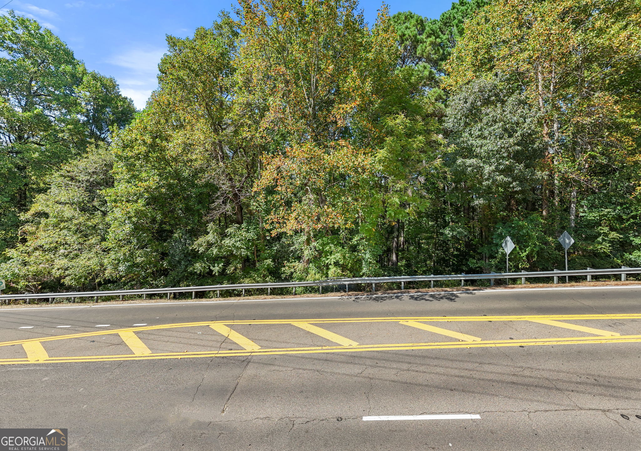 0 Hickory Flat Highway Property Photo 2