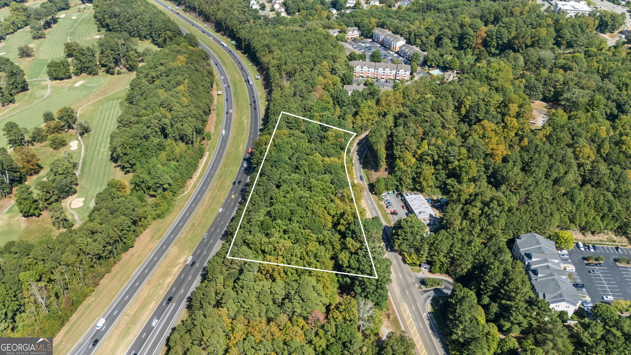 0 Hickory Flat Highway Property Photo 4