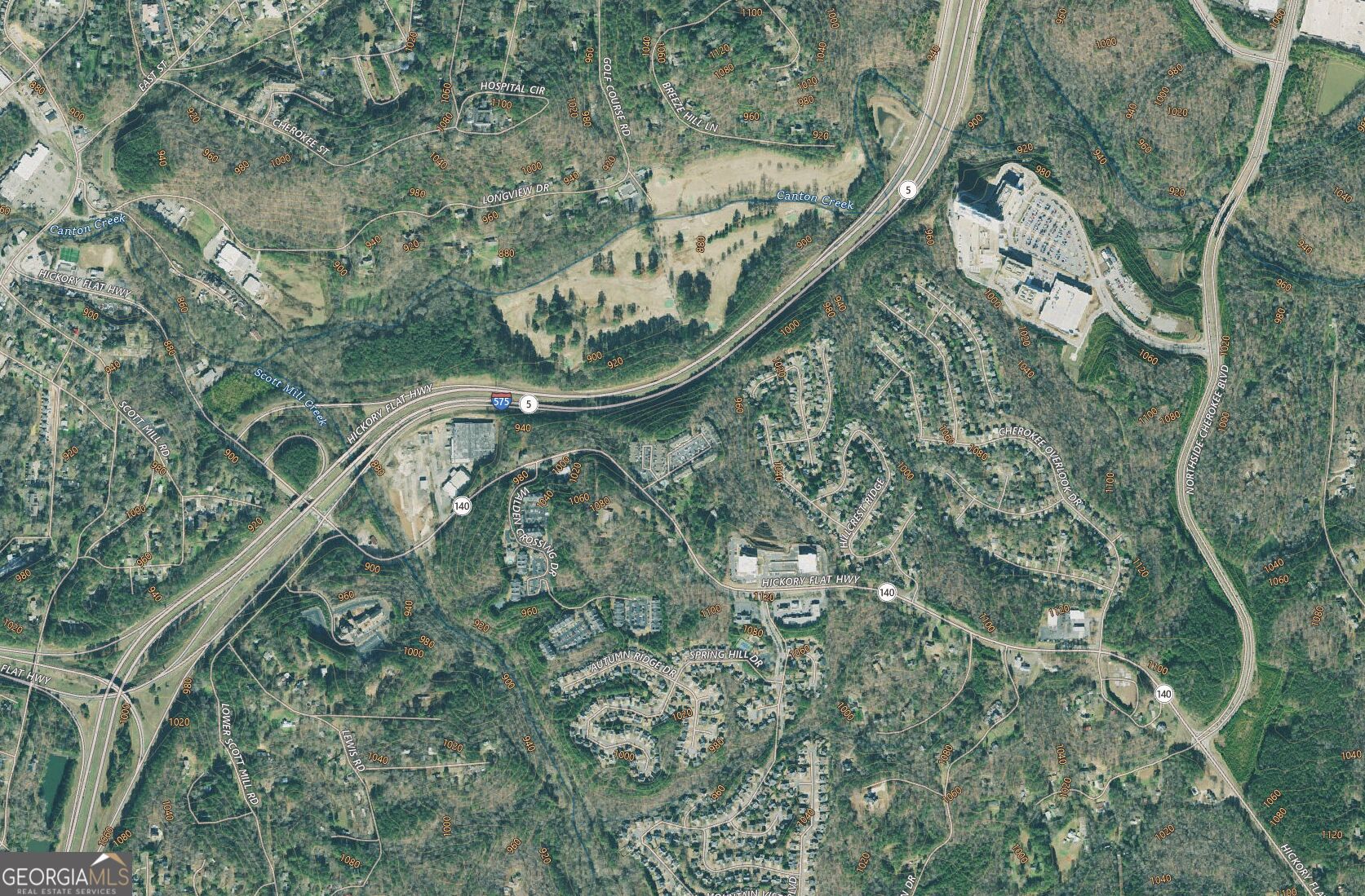 0 Hickory Flat Highway Property Photo 9
