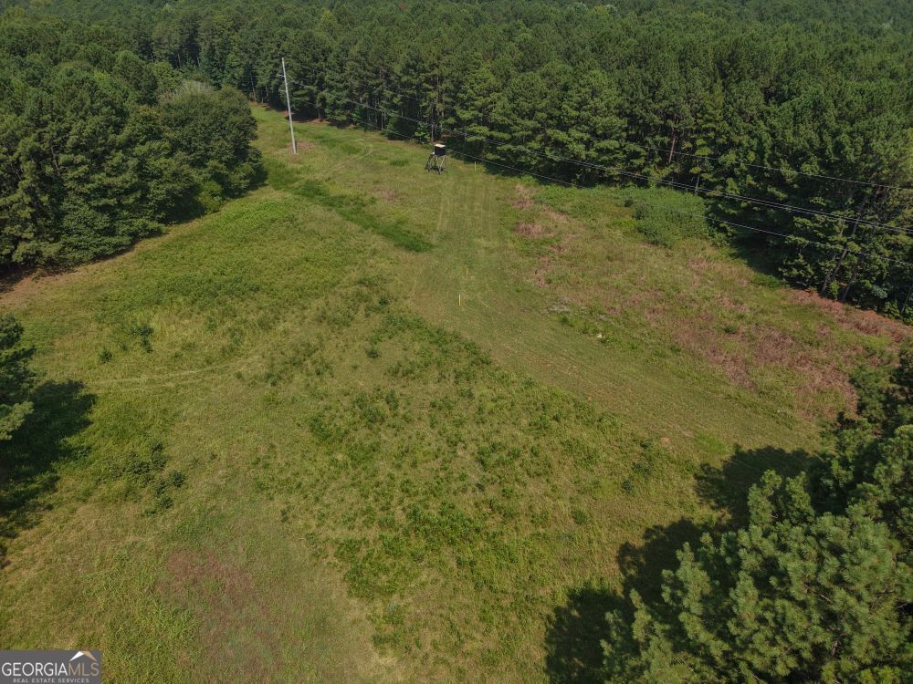 301 Dub Walker Road Property Photo 1