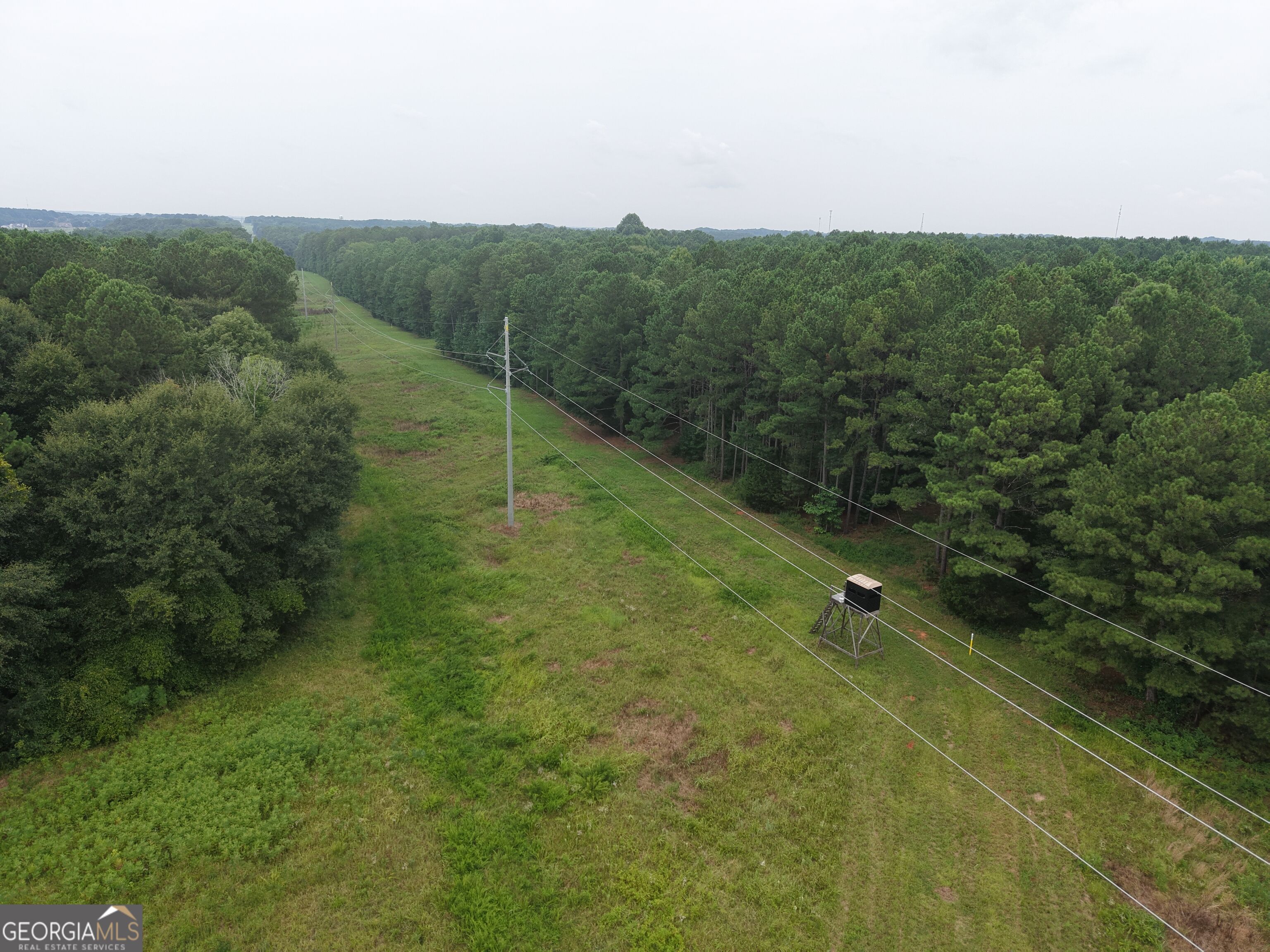 301 Dub Walker Road Property Photo 4