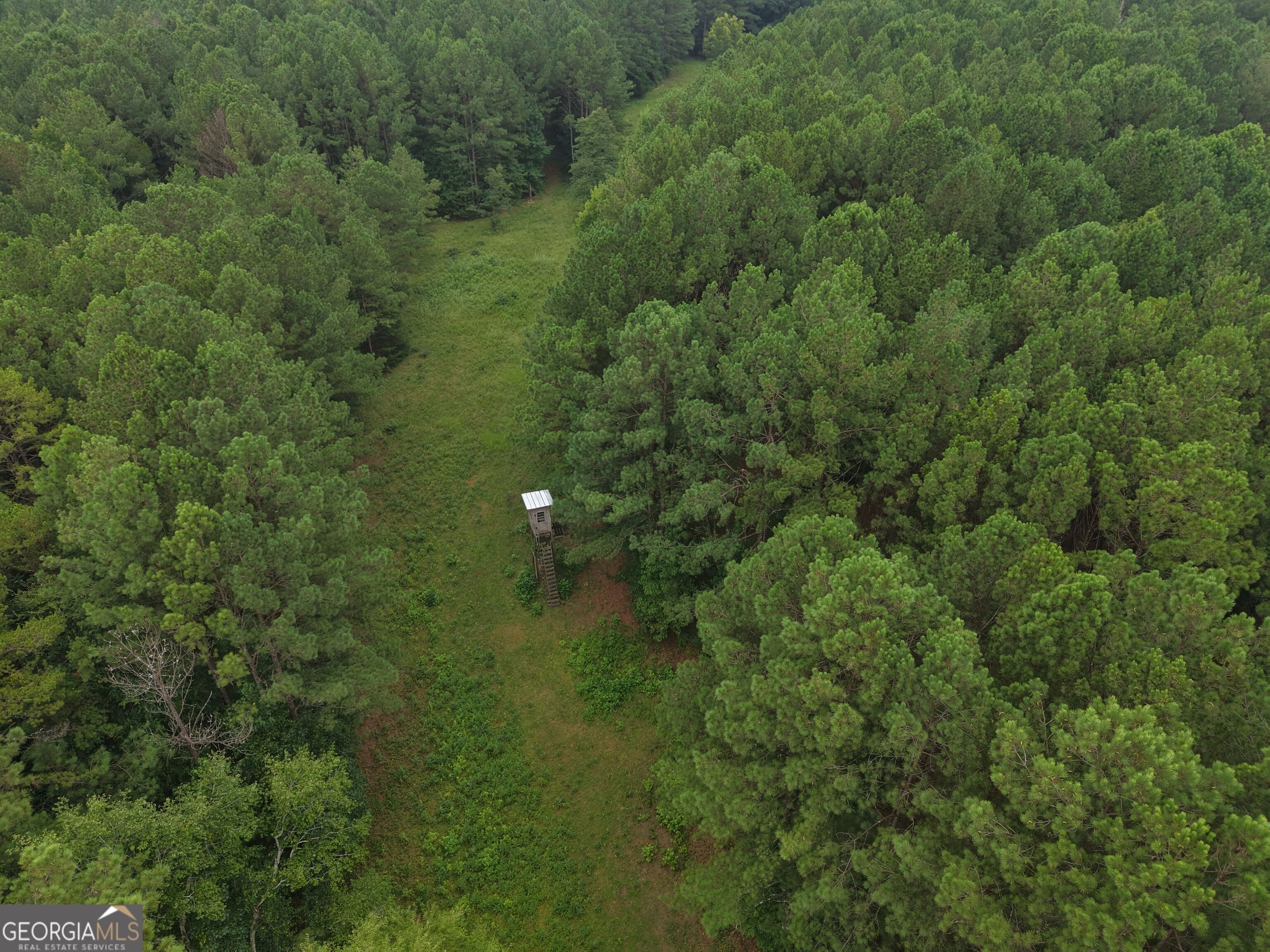 301 Dub Walker Road Property Photo 13