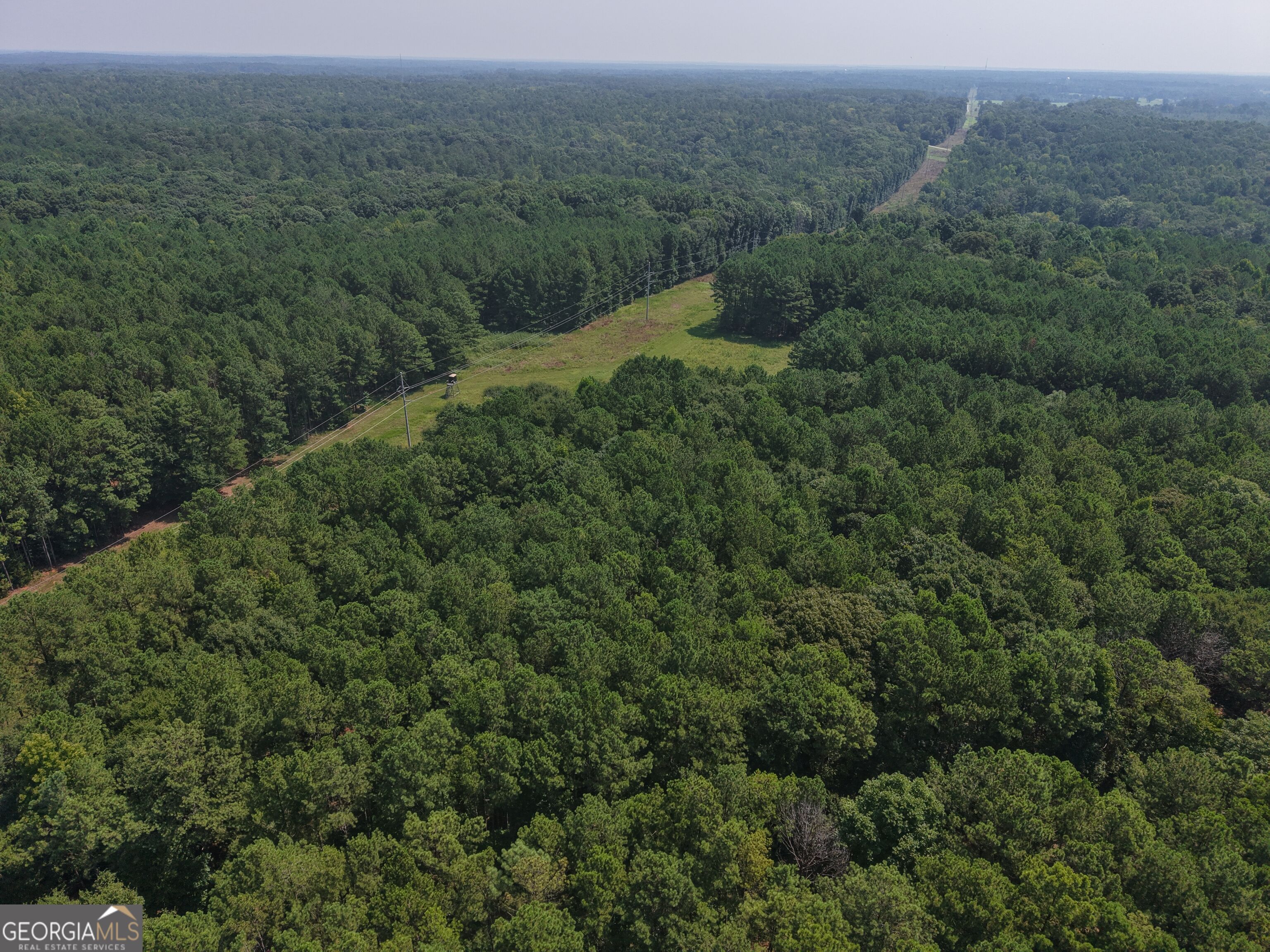 301 Dub Walker Road Property Photo 15