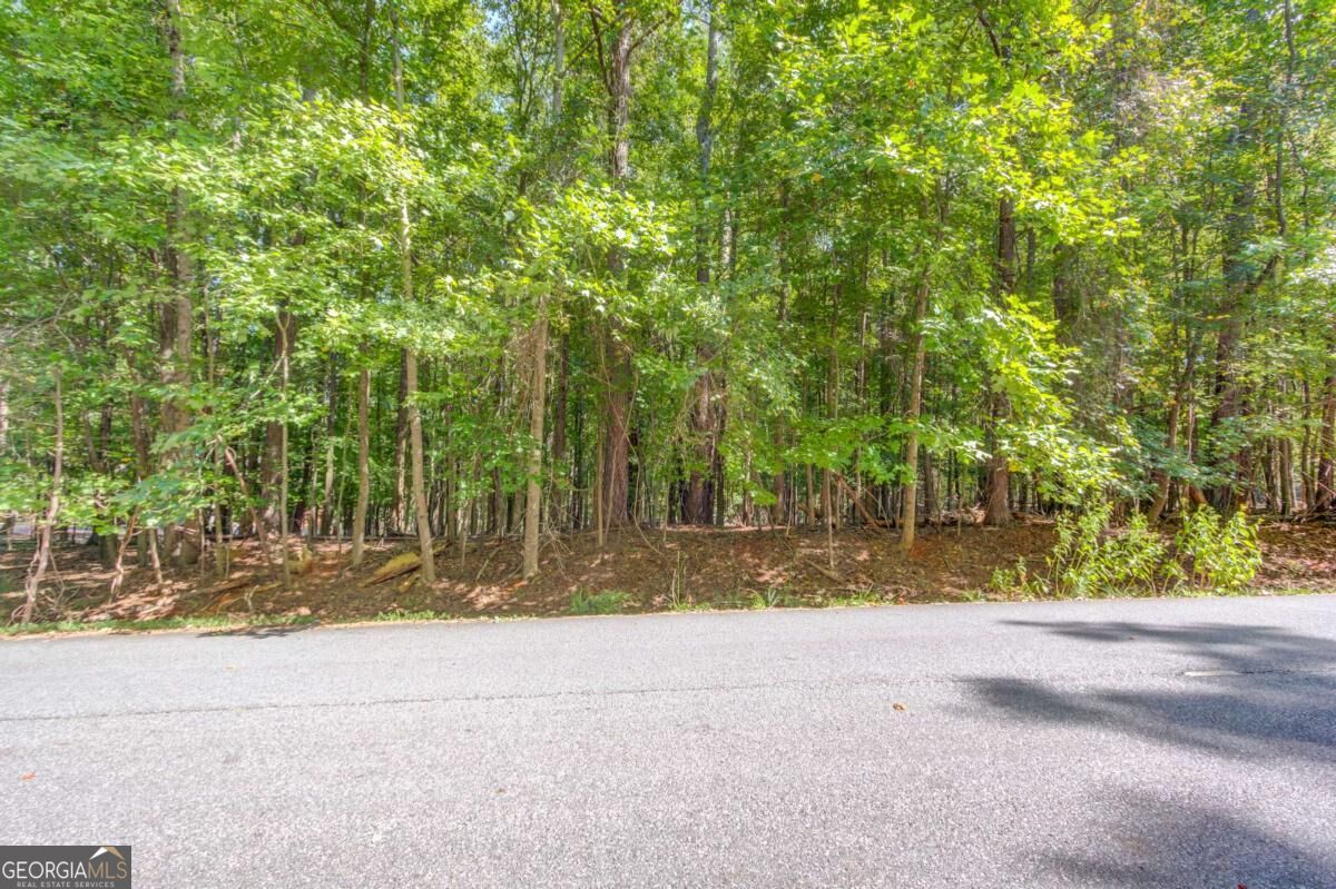 211 Buck Trail Property Photo 2