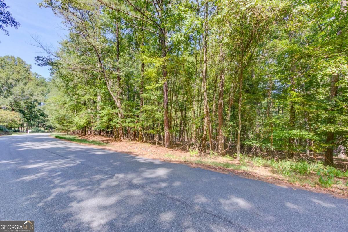 211 Buck Trail Property Photo 5