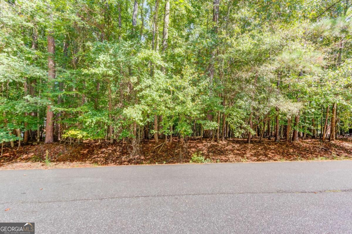 211 Buck Trail Property Photo 6