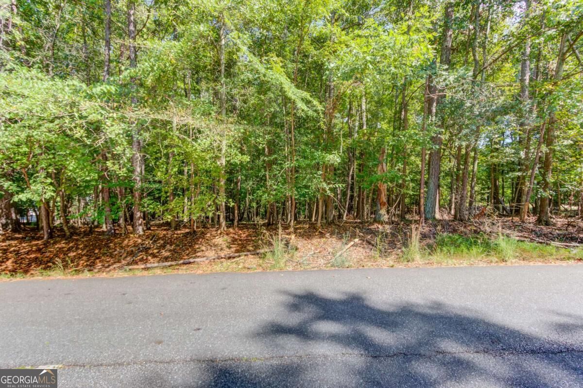 211 Buck Trail Property Photo 7