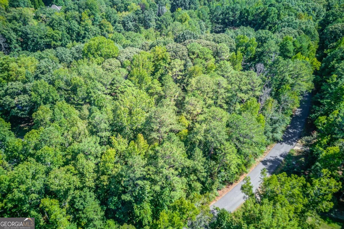 211 Buck Trail Property Photo 8
