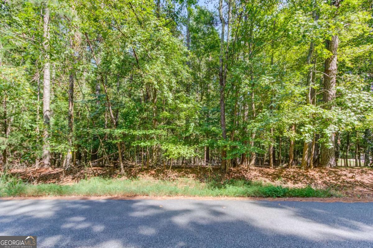 211 Buck Trail Property Photo 10