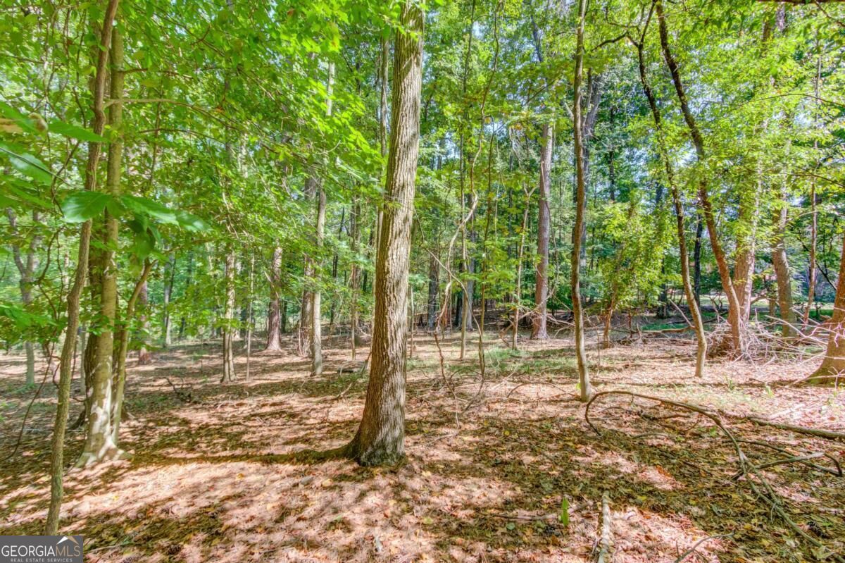 211 Buck Trail Property Photo 11