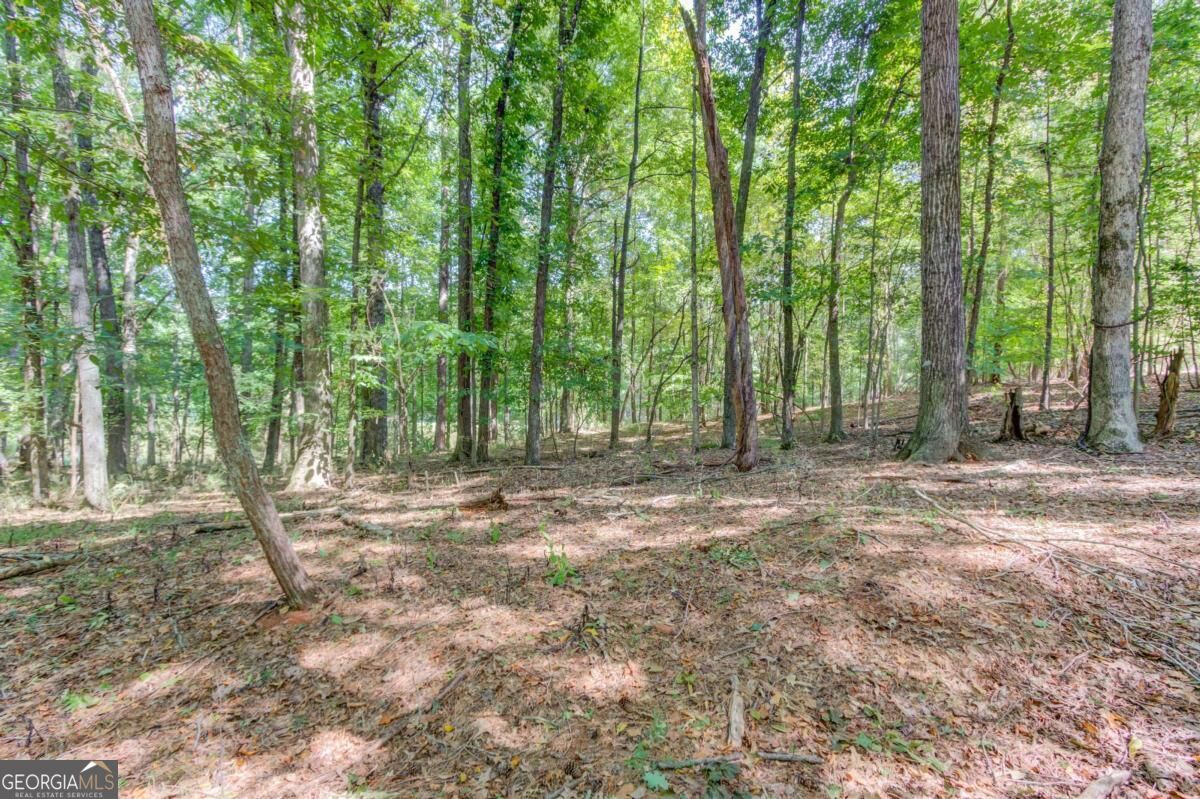 211 Buck Trail Property Photo 12