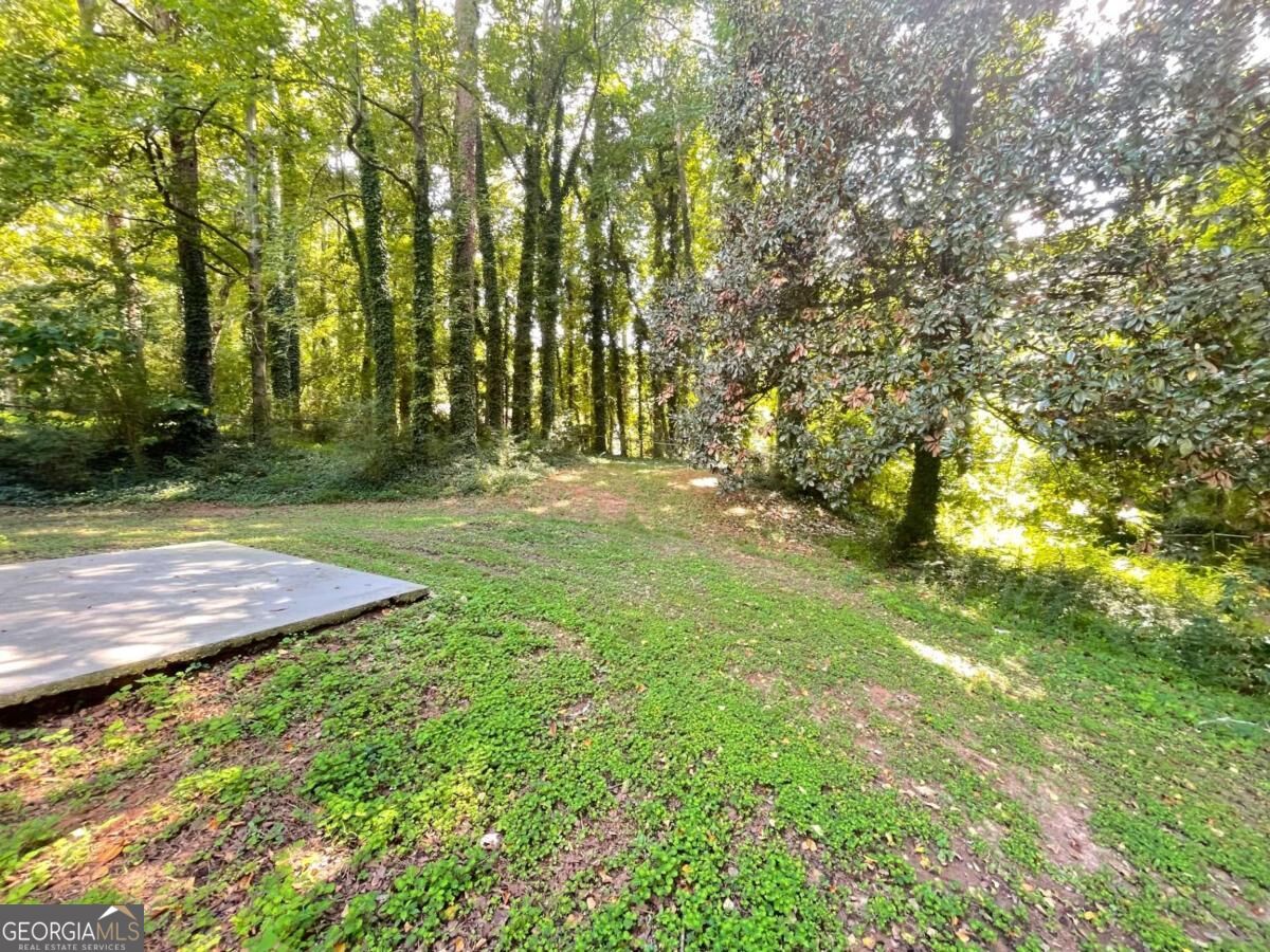 1537 Spruce Ridge Court Property Photo 13
