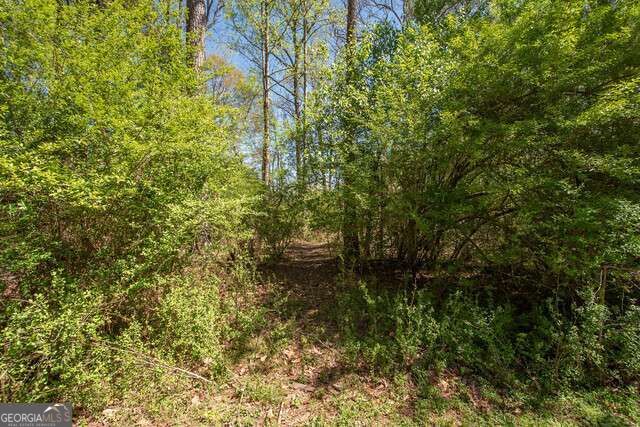 270 Walt Sanders Road Property Photo 27