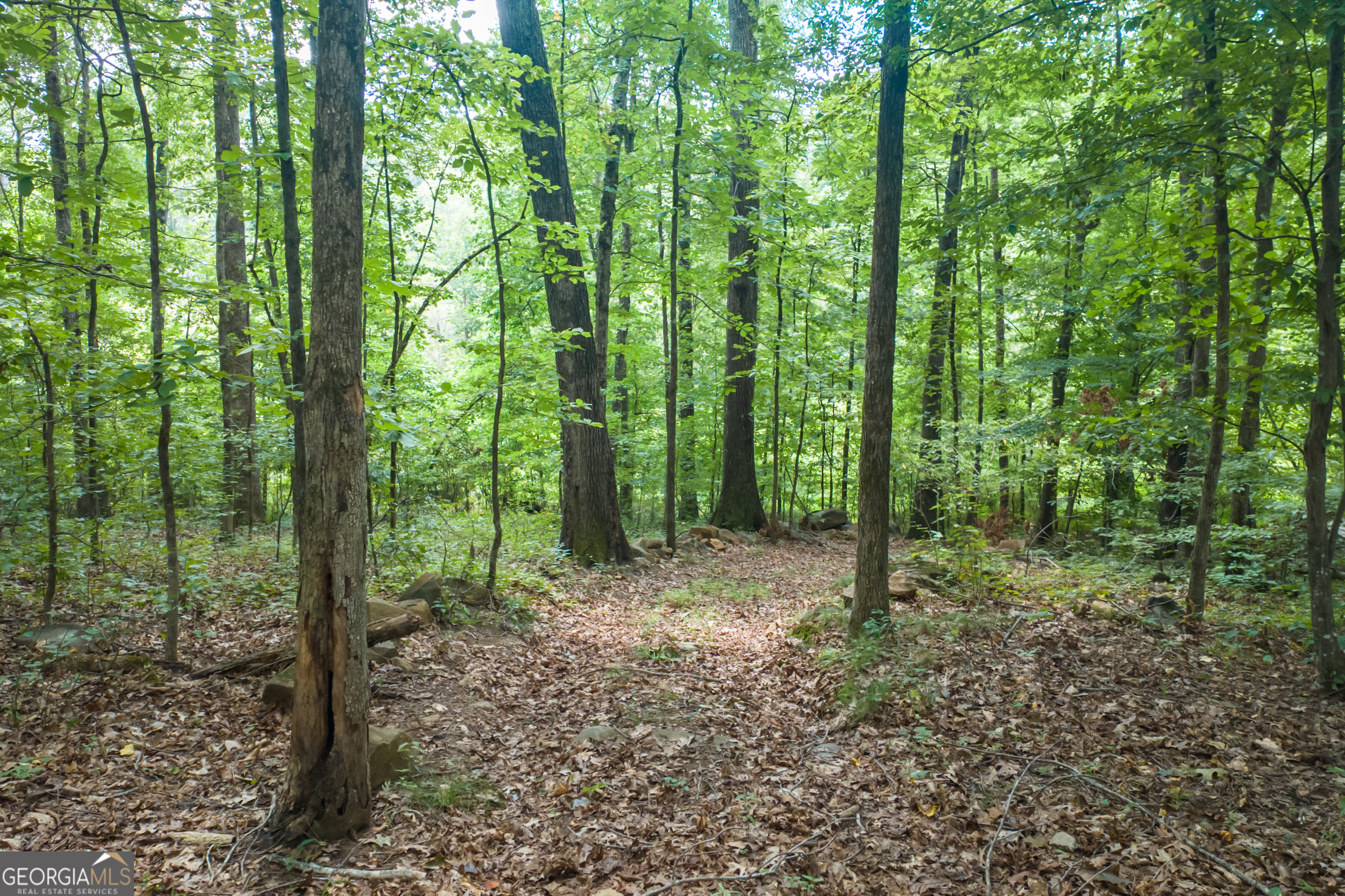1345 Chandler Road Property Photo 79