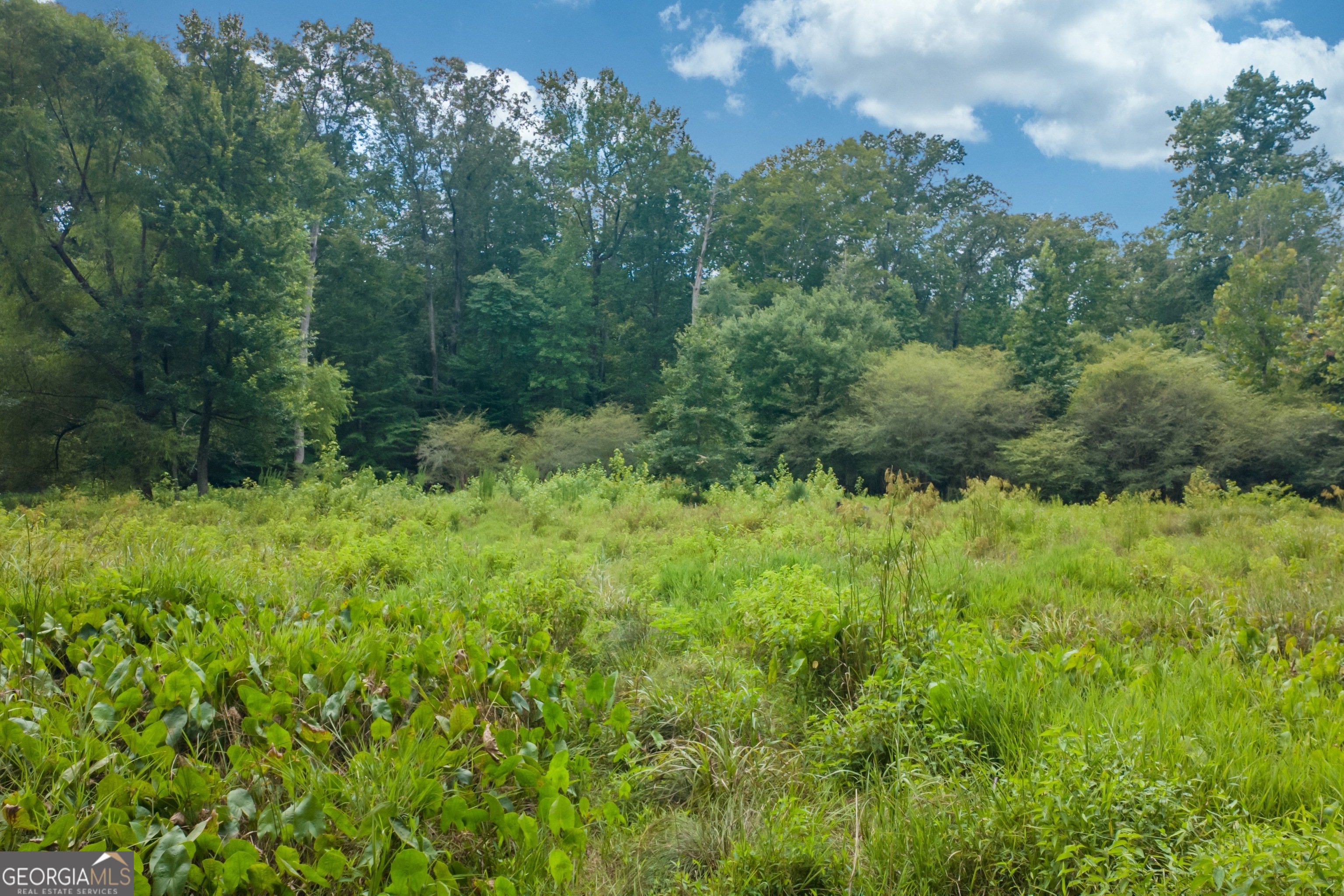 1345 Chandler Road Property Photo 81