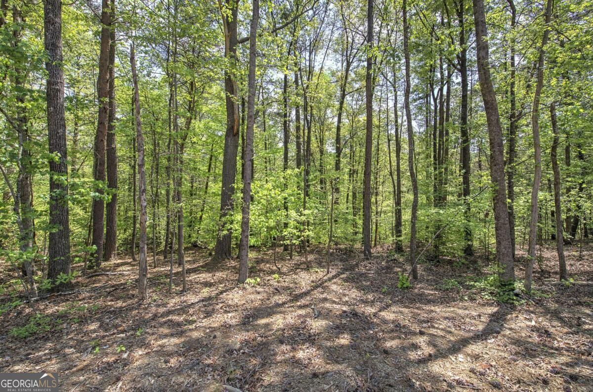 7463 Yukon Road Property Photo 41
