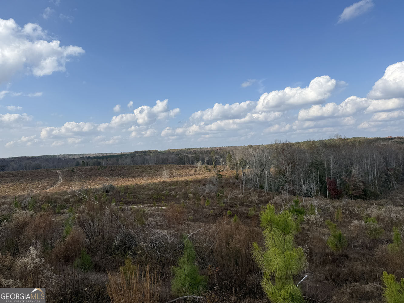 994 Joe Jones Road Property Photo 1