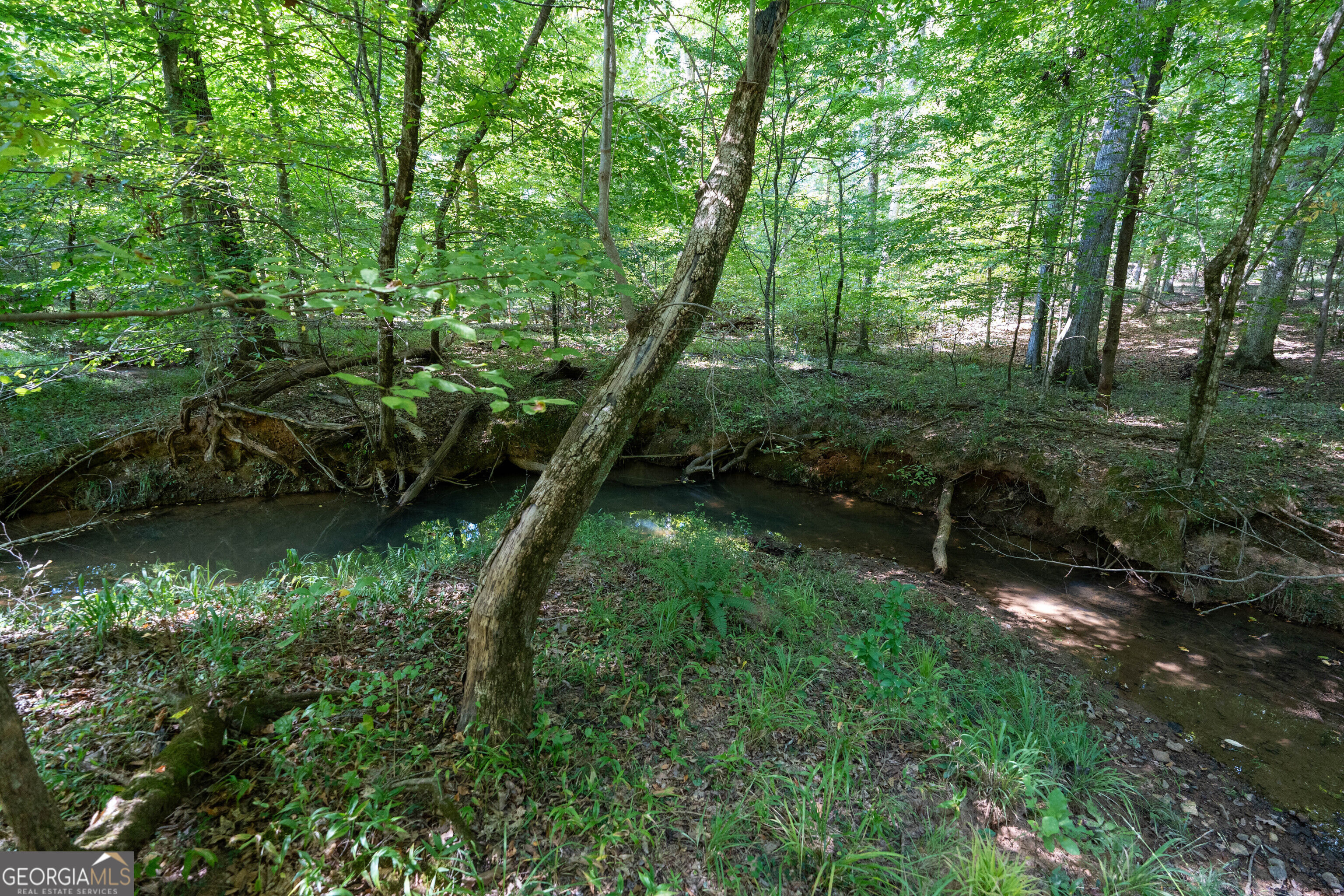 12 Bunch Road Property Photo 2