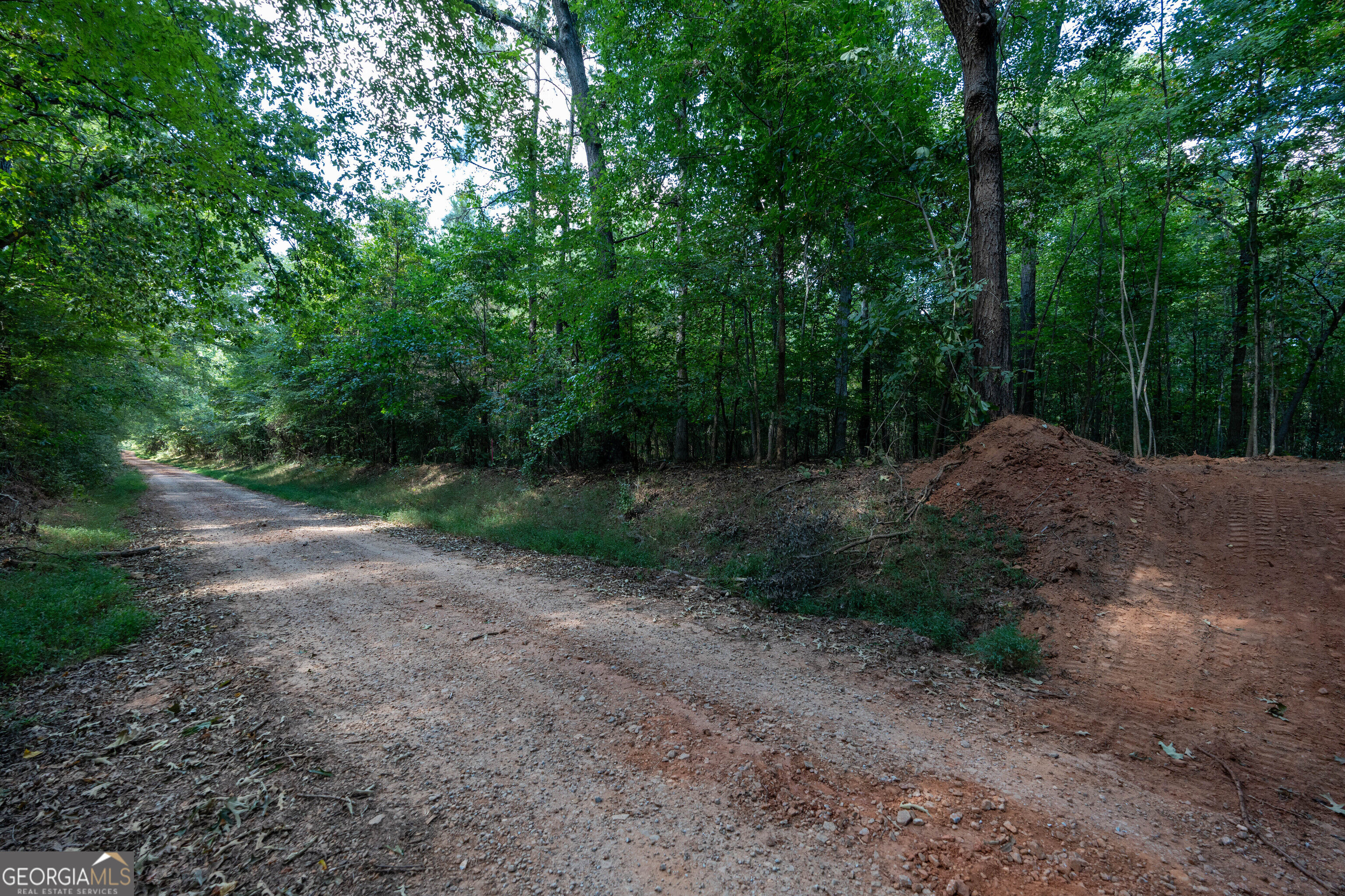 12 Bunch Road Property Photo 11