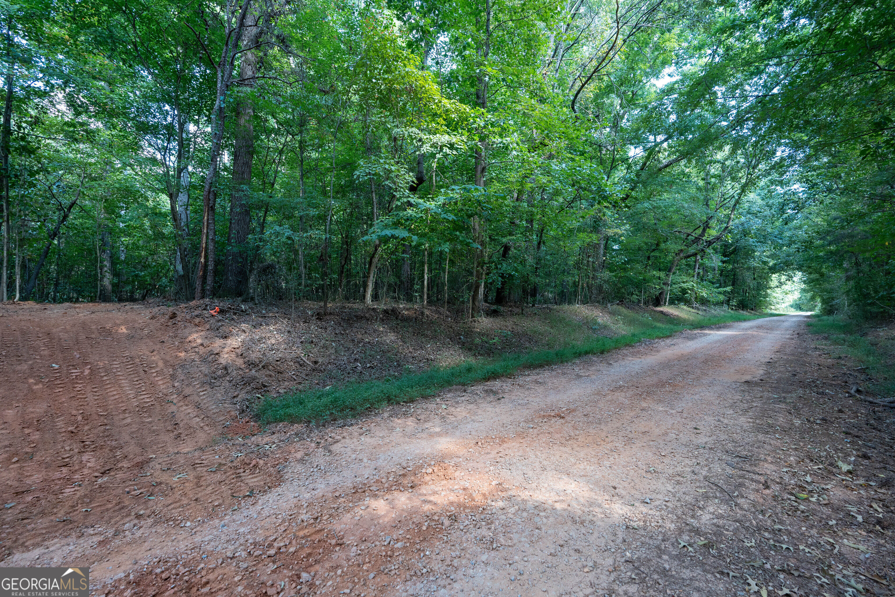 12 Bunch Road Property Photo 12