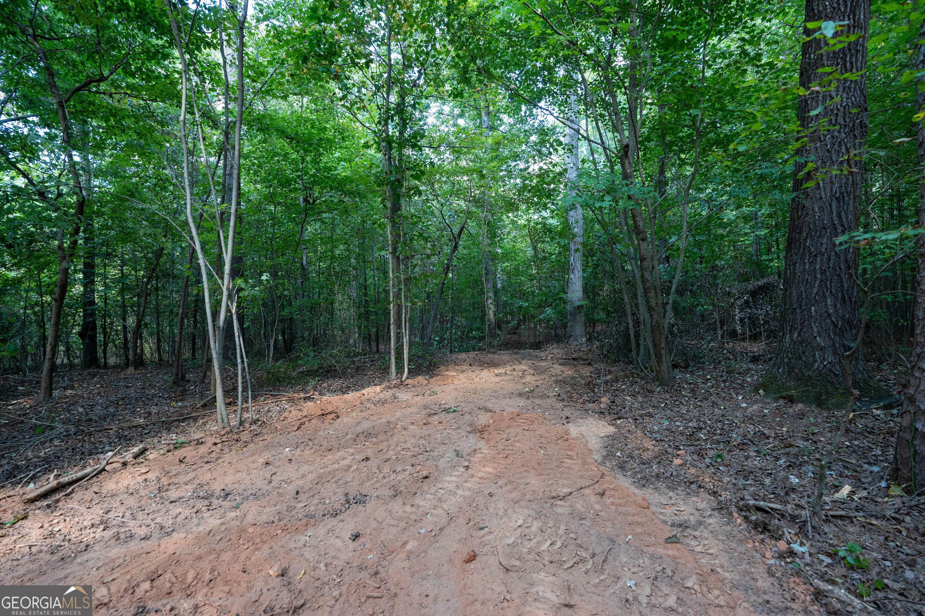 12 Bunch Road Property Photo 14