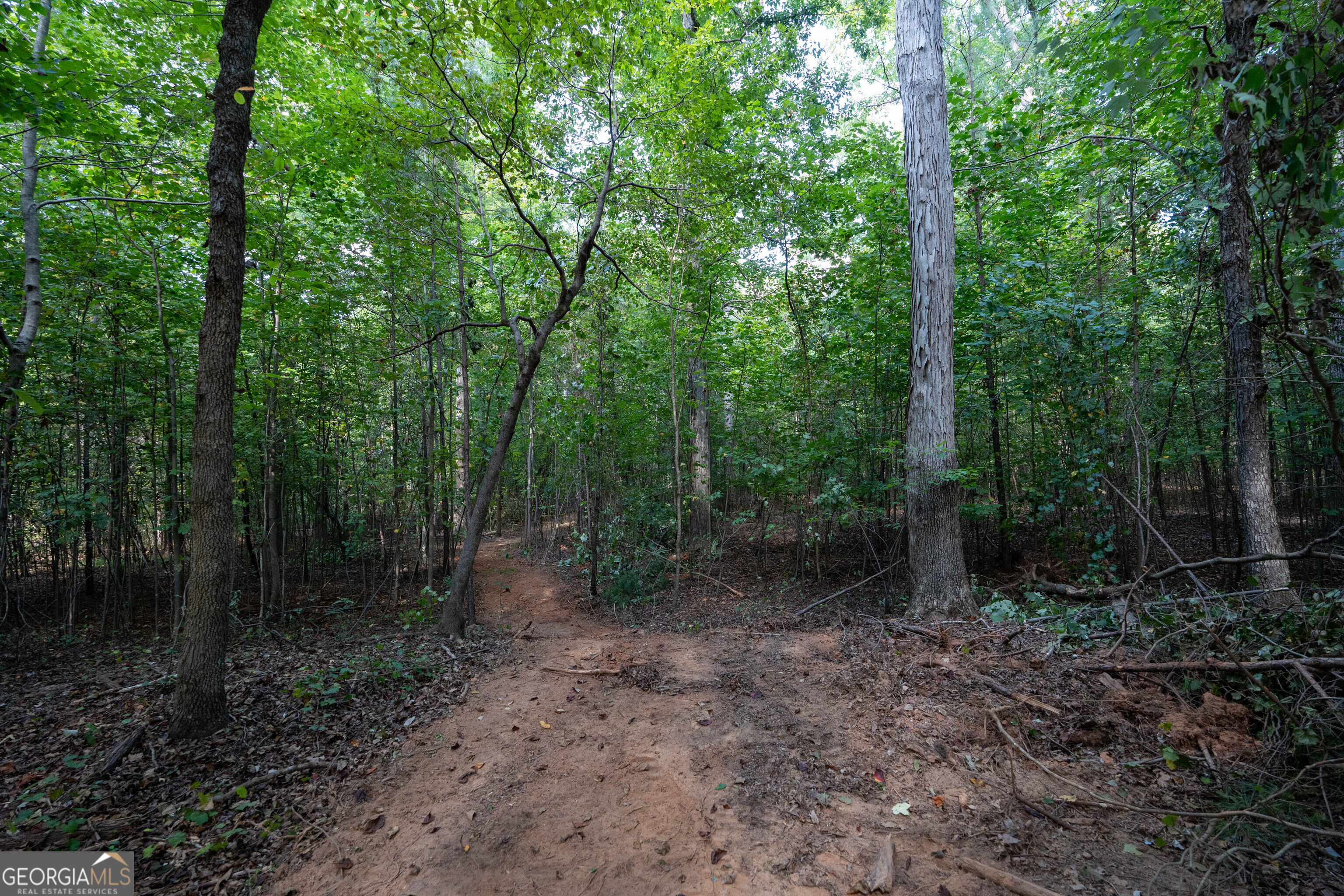 12 Bunch Road Property Photo 15