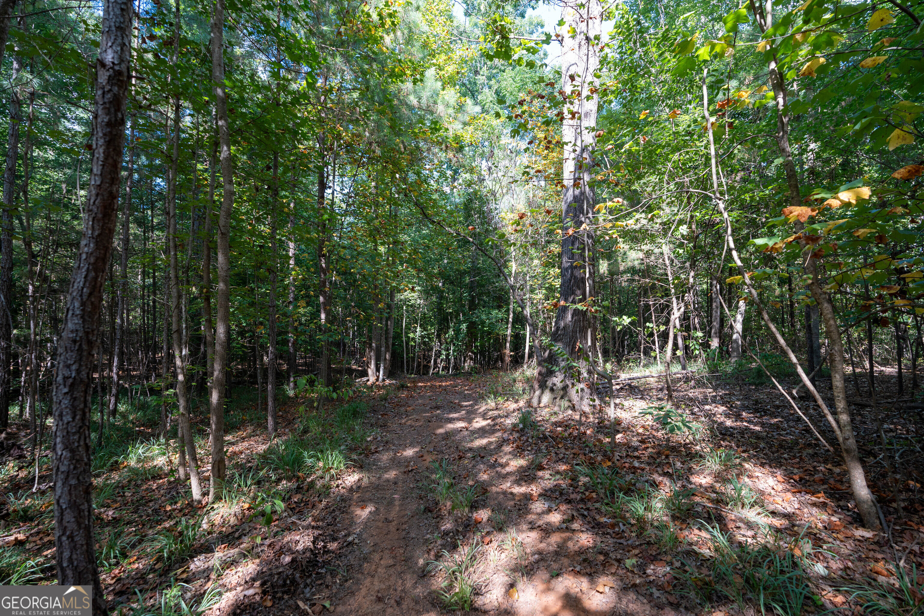 12 Bunch Road Property Photo 17