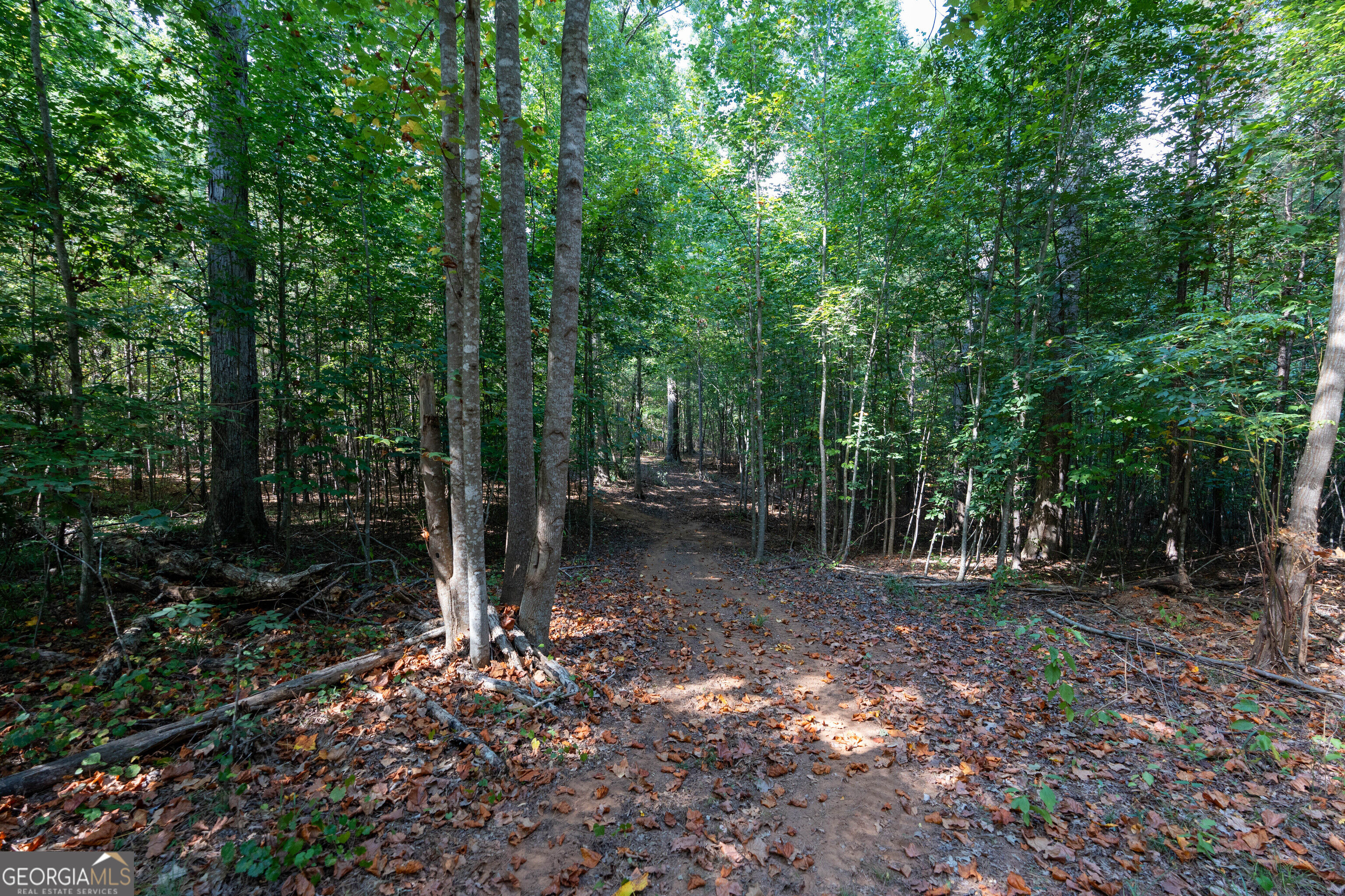 12 Bunch Road Property Photo 18