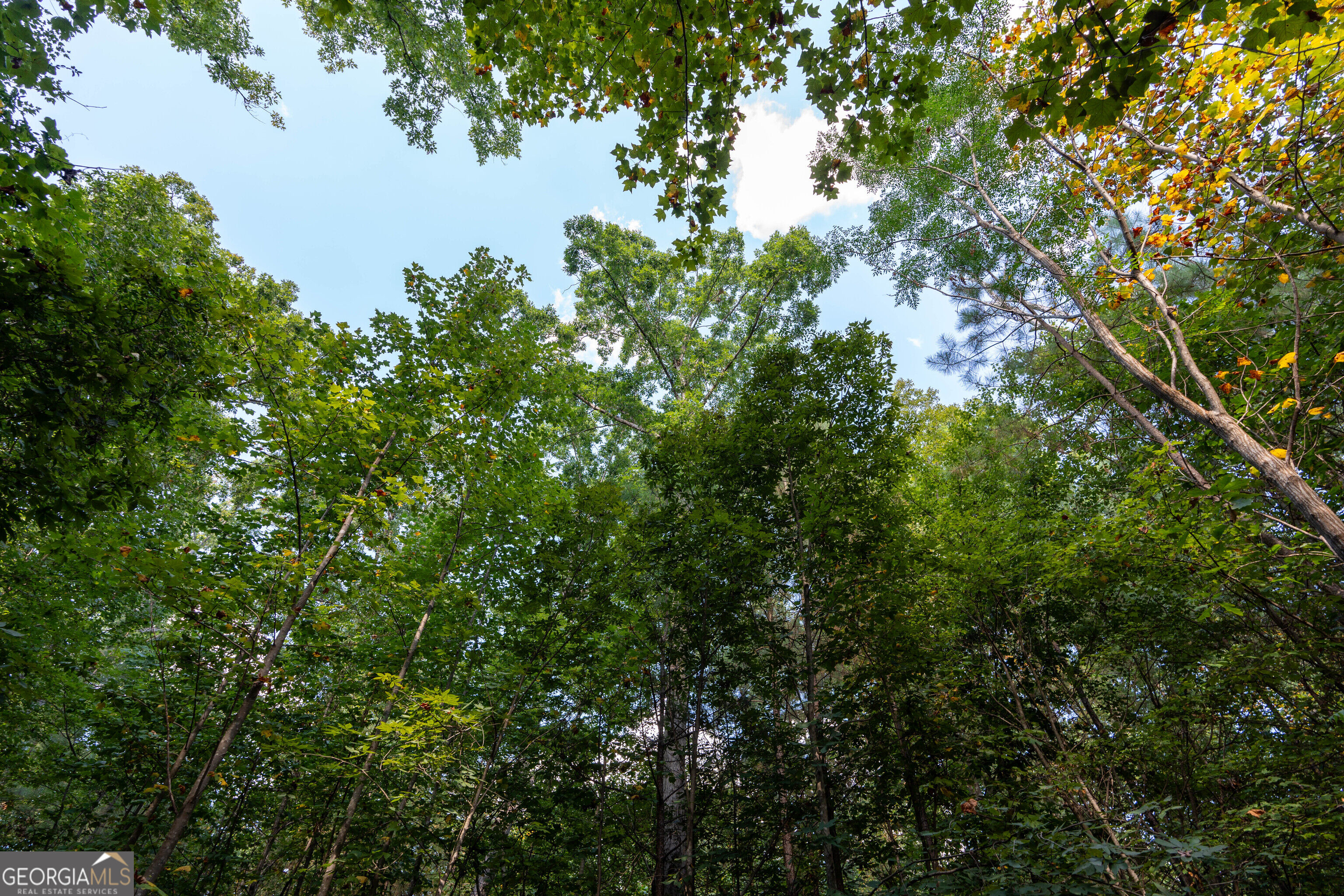 12 Bunch Road Property Photo 19