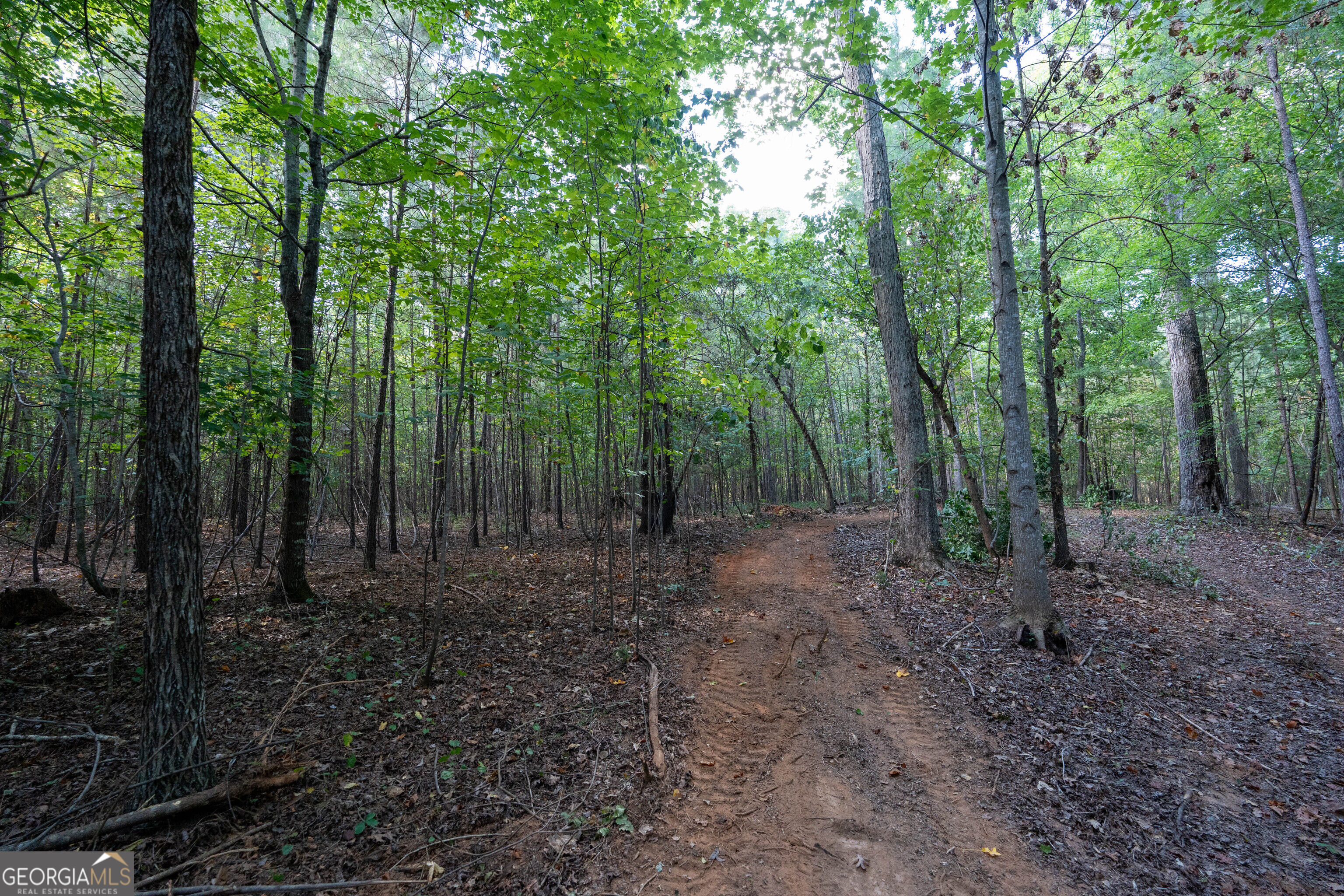 12 Bunch Road Property Photo 20
