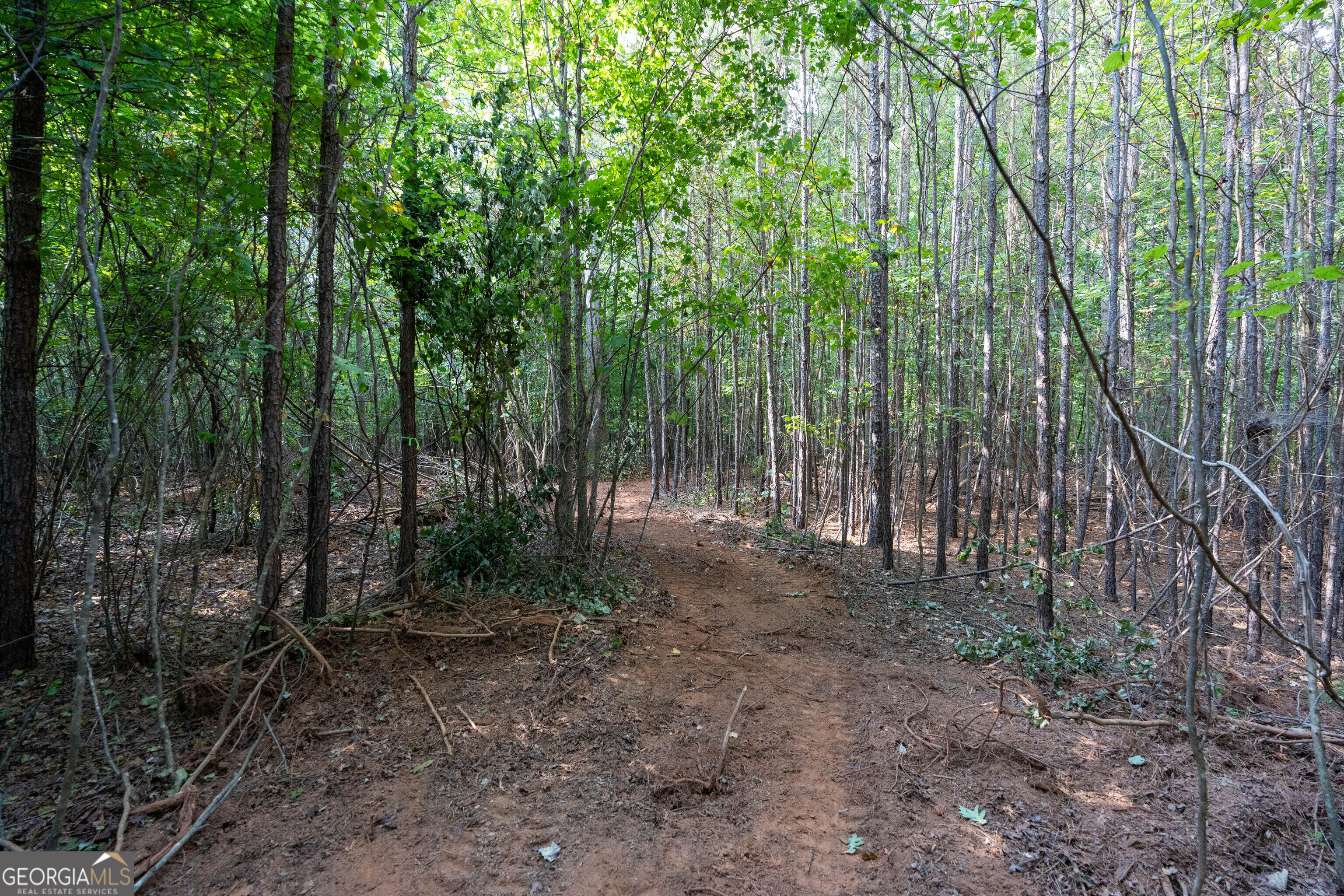 12 Bunch Road Property Photo 22
