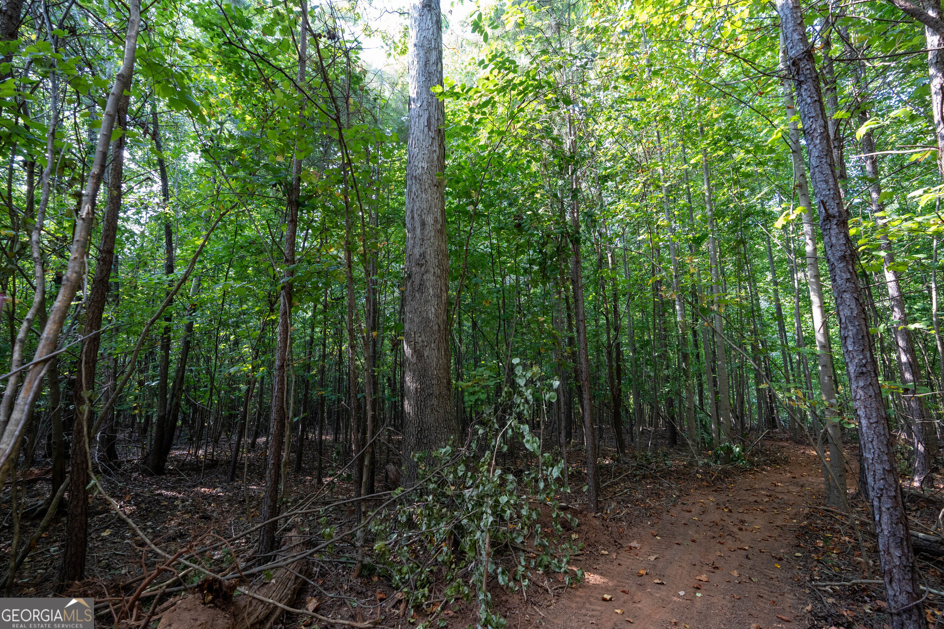 12 Bunch Road Property Photo 24