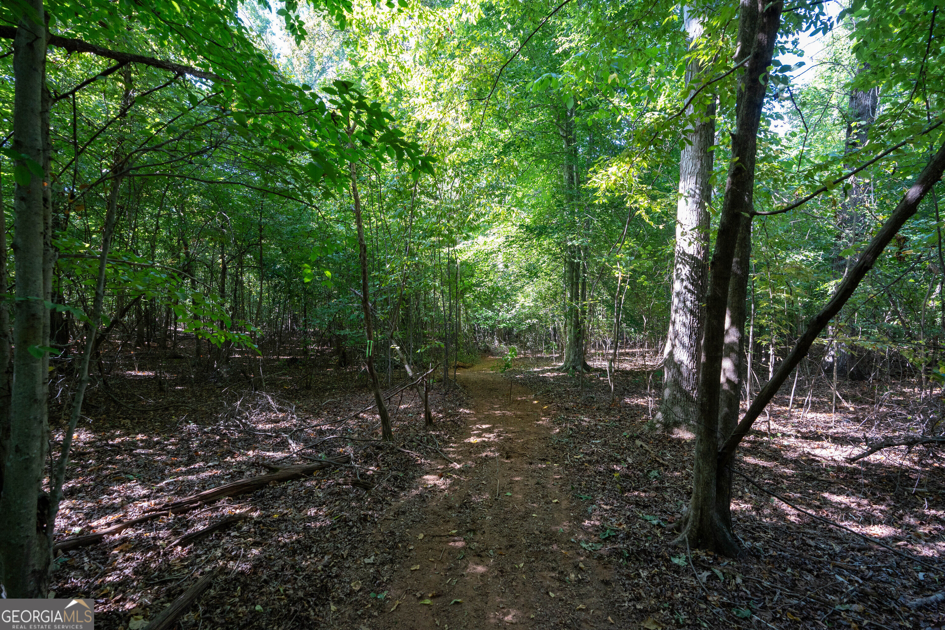 12 Bunch Road Property Photo 27
